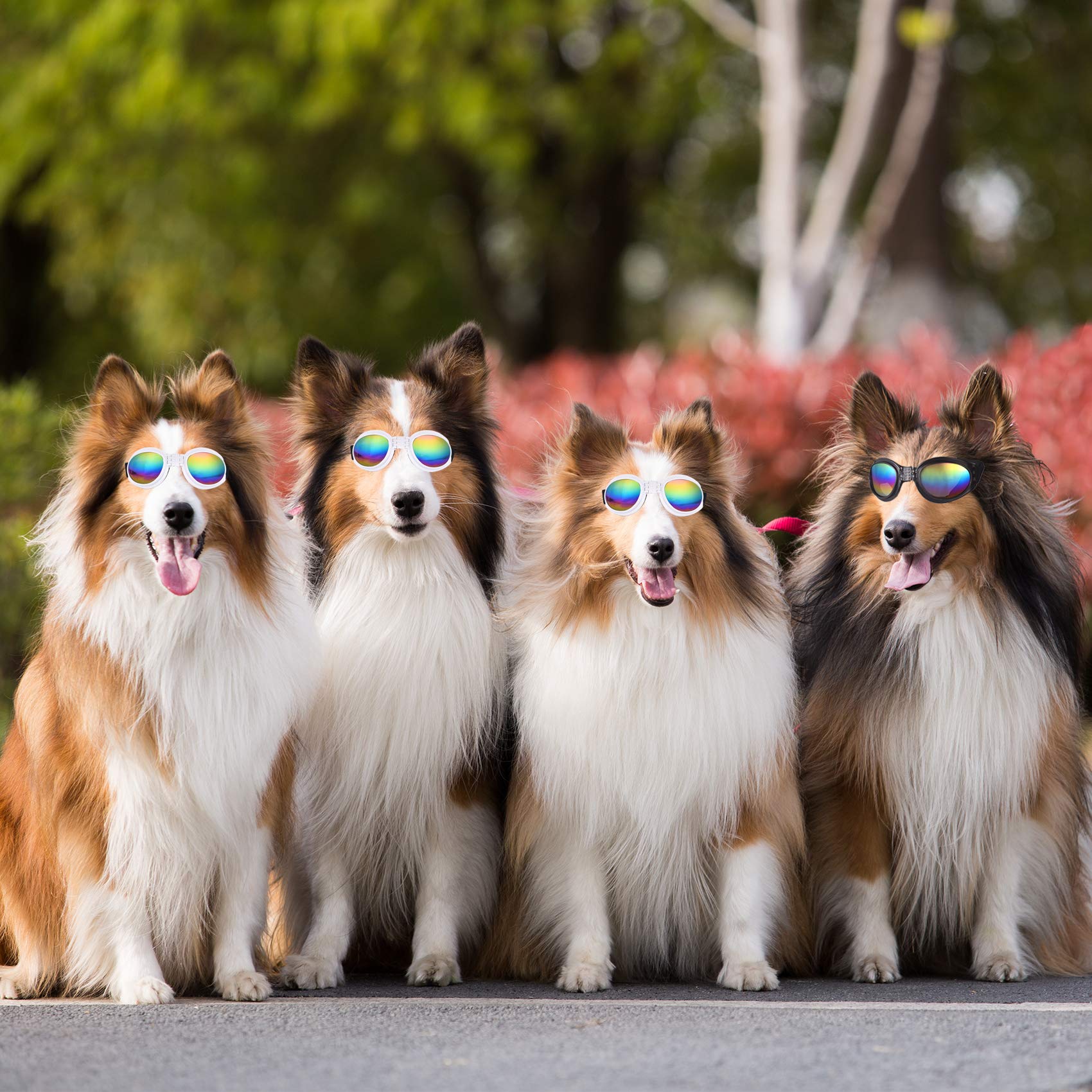 JIABEIUS - Occhiali da sole per cani, antivento, anti-appannamento, protezione UV, per gatti e cani di piccola taglia (rosa)