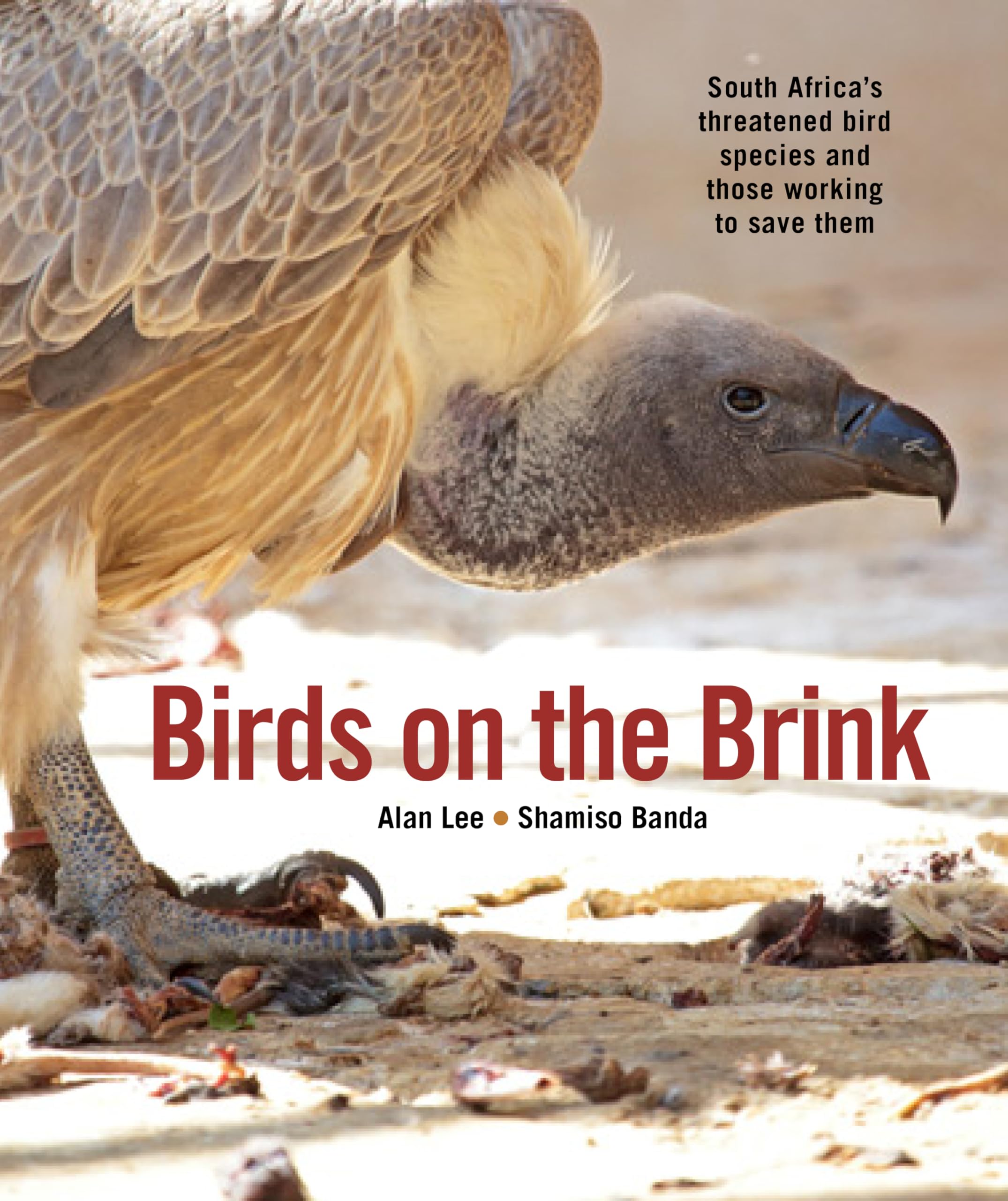 Birds on the Brink: South Africa’s threatened birds and those working to save them