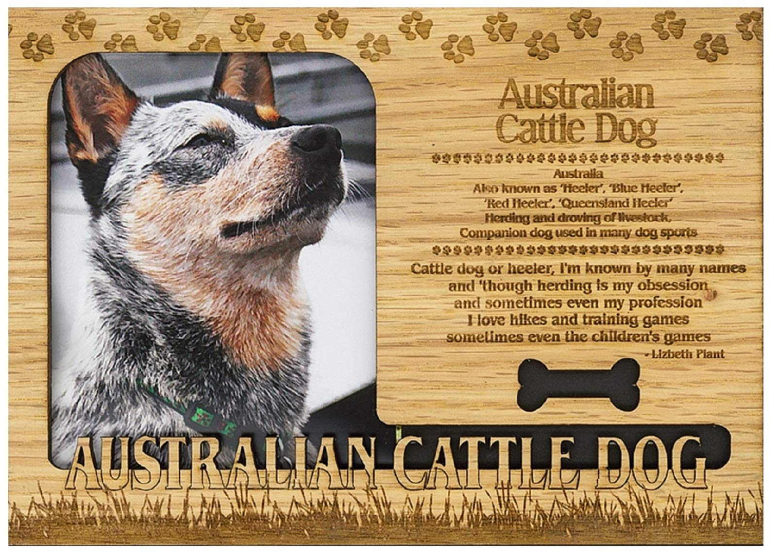 Australian Cattle Dog Blue Heeler Names australian-cattle-dog-blue-heeler-names