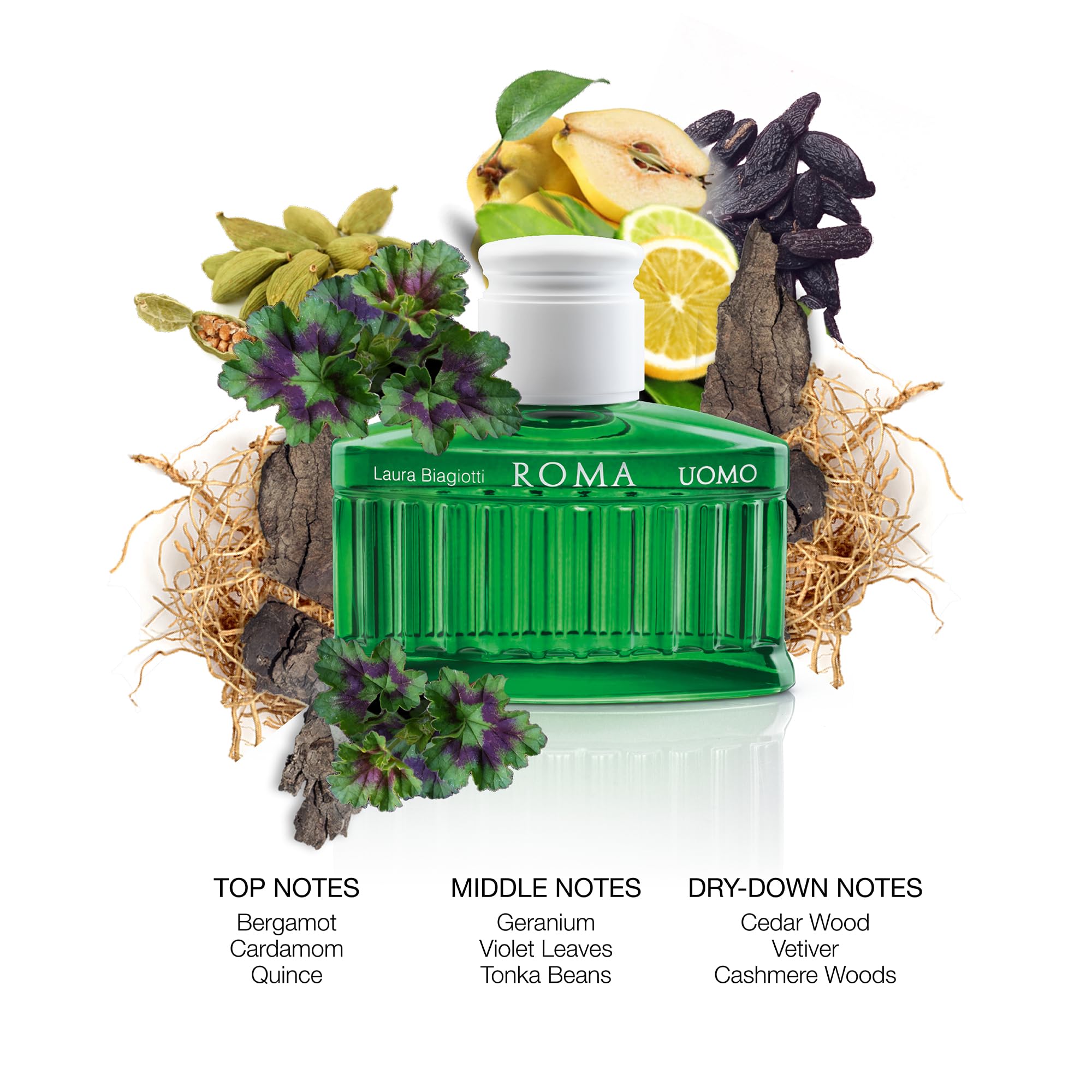 Laura Biagiotti Roma Uomo Green Swing Eau de Toilette 125 ml