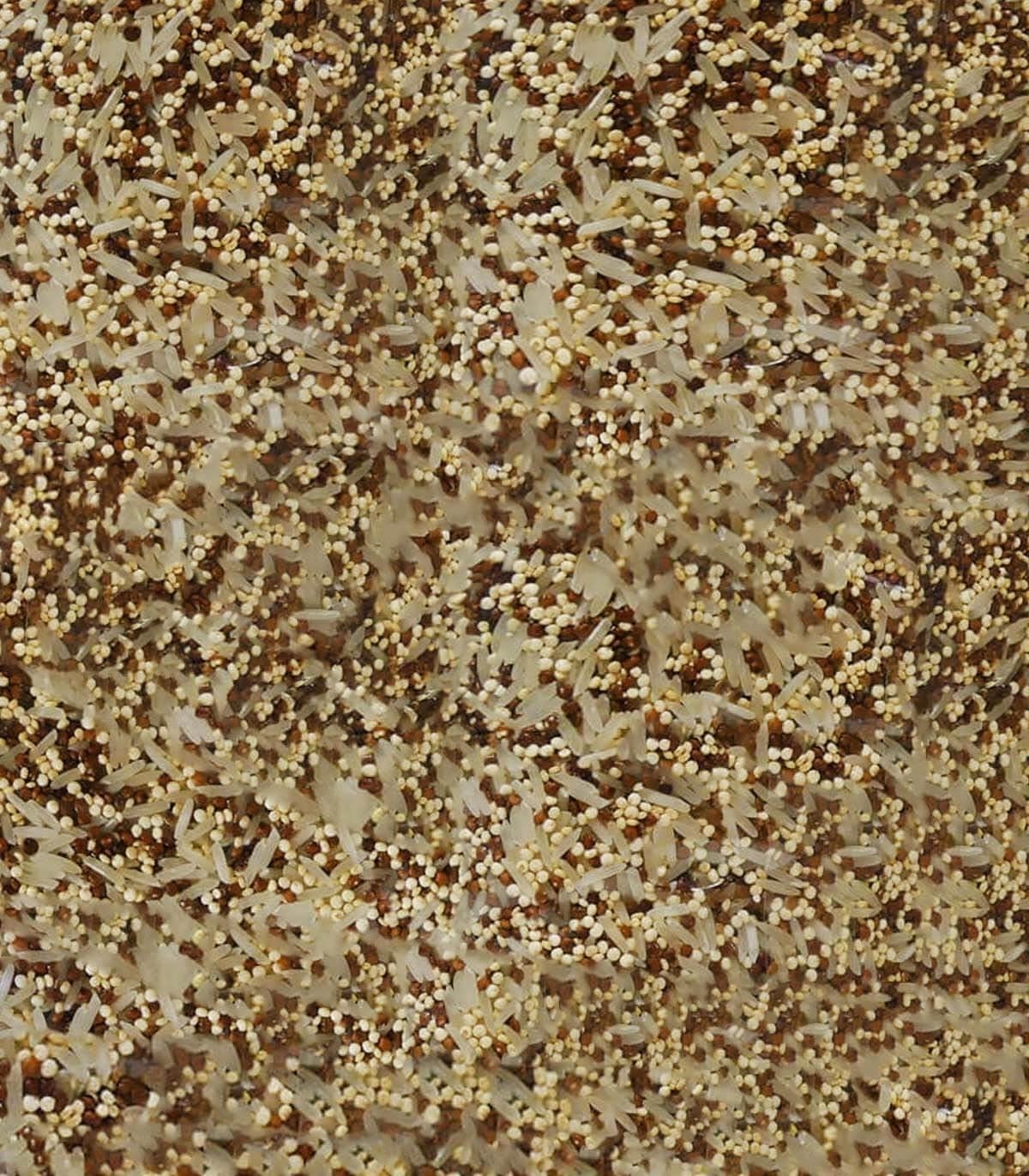 Sabarot - Mélange riz des deux mondes 400g