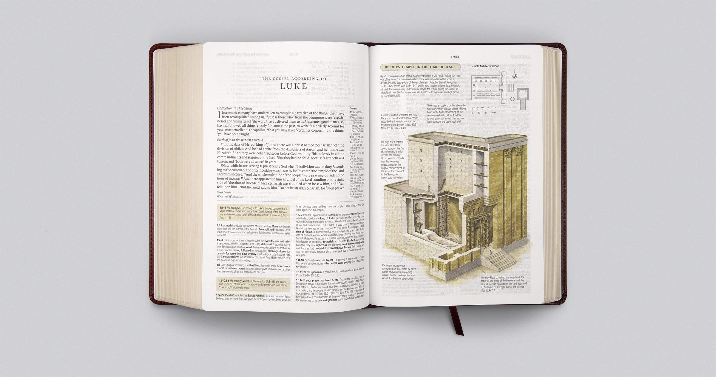 Holy Bible: English Standard Version, Trutone, Burgundy/Red, Timeless Design, Study