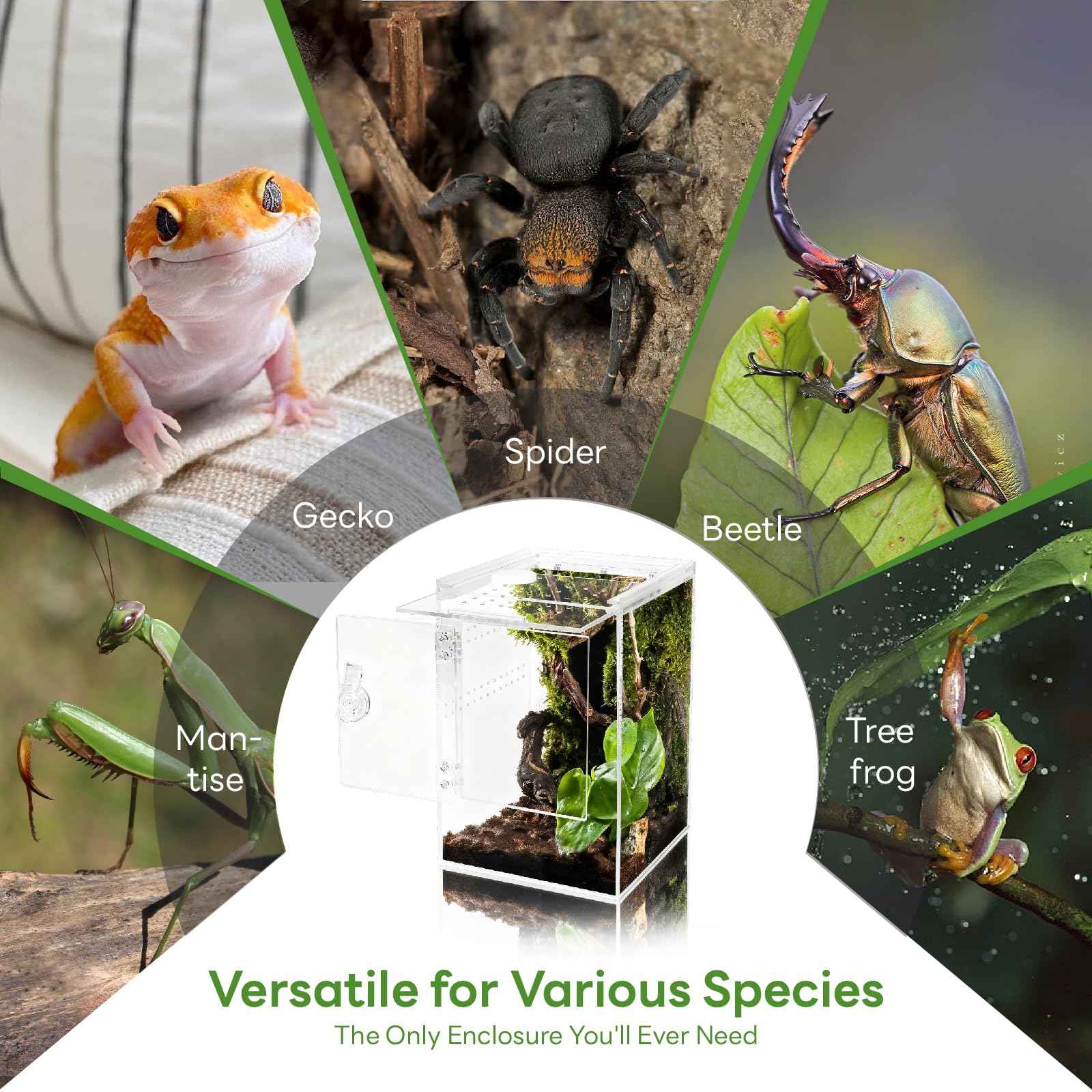 Vordere Öffnung Schnecken Terrarium,360° Rechteck Vivarium15x15x23CM mit Querlüftung,Wasserdicht Acryl Terrarium für Springspinne Gottesanbeterin, Geckos,Laubfrösche, Käfer