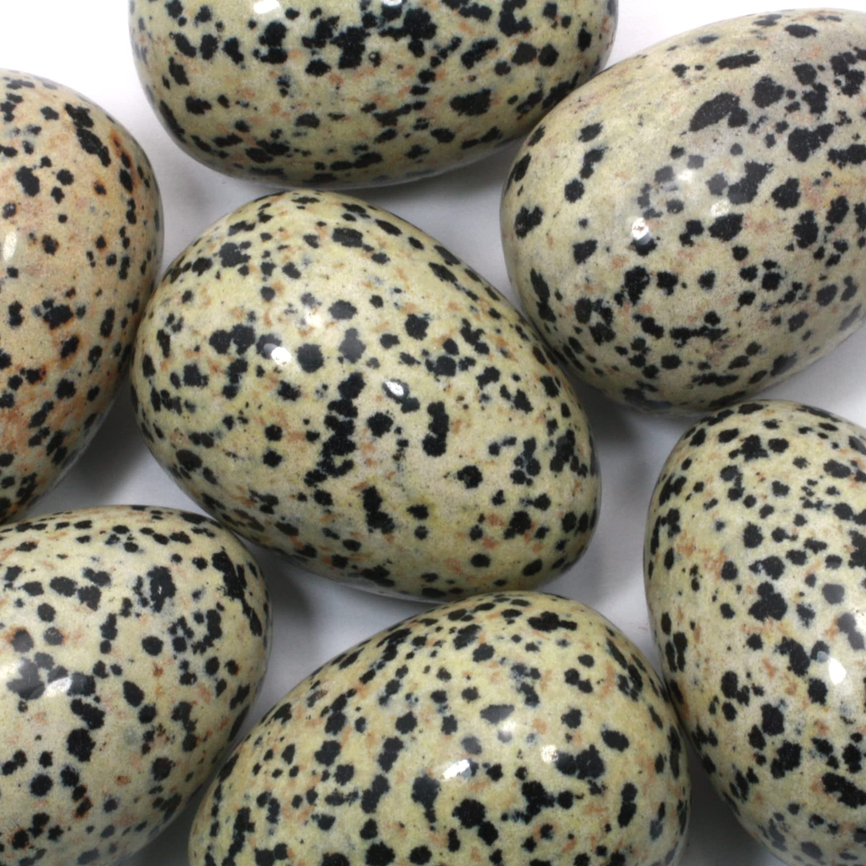 Crystalage Black Dalmation Jasper Crystal Egg