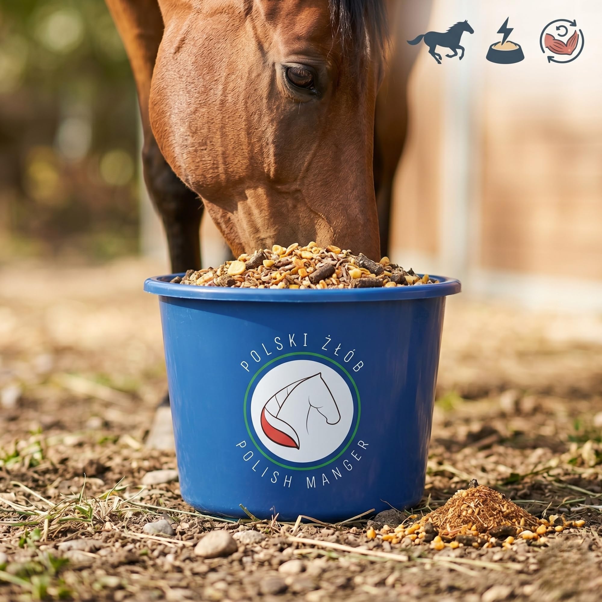 Muesli para caballos deportivos de resistencia – Alimentación de alta energía para la resistencia y la regeneración muscular, rico en aceite de linaza y antioxidantes, bajo almidón