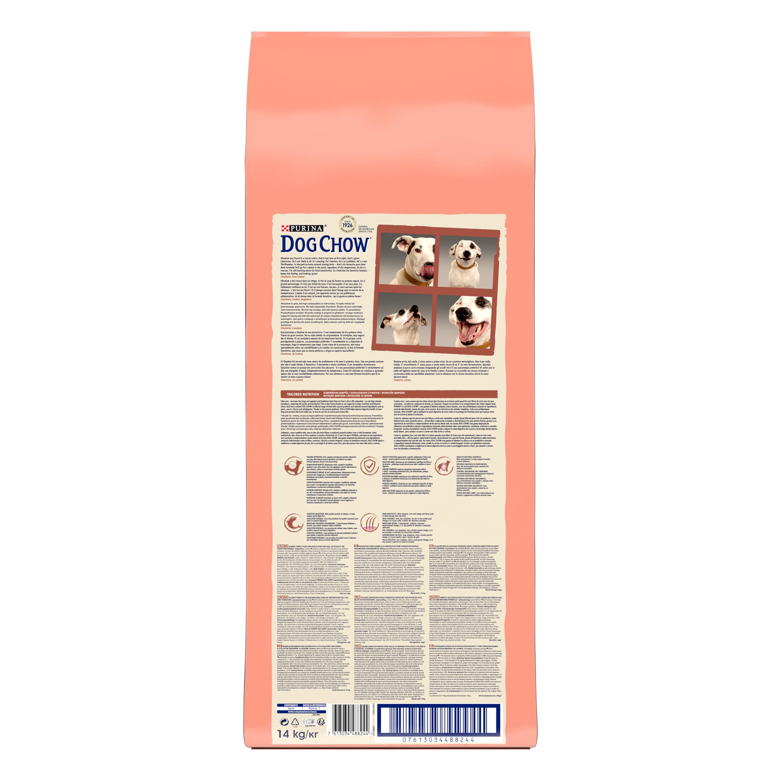 Purina Dog Chow Pienso para Perro Adulto con Digestión Sensible con Salmón, saco de 14kg