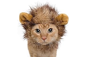 Pet Krewe Puppy Lion Costume Fits Neck Sizes 8 to 14 Inches