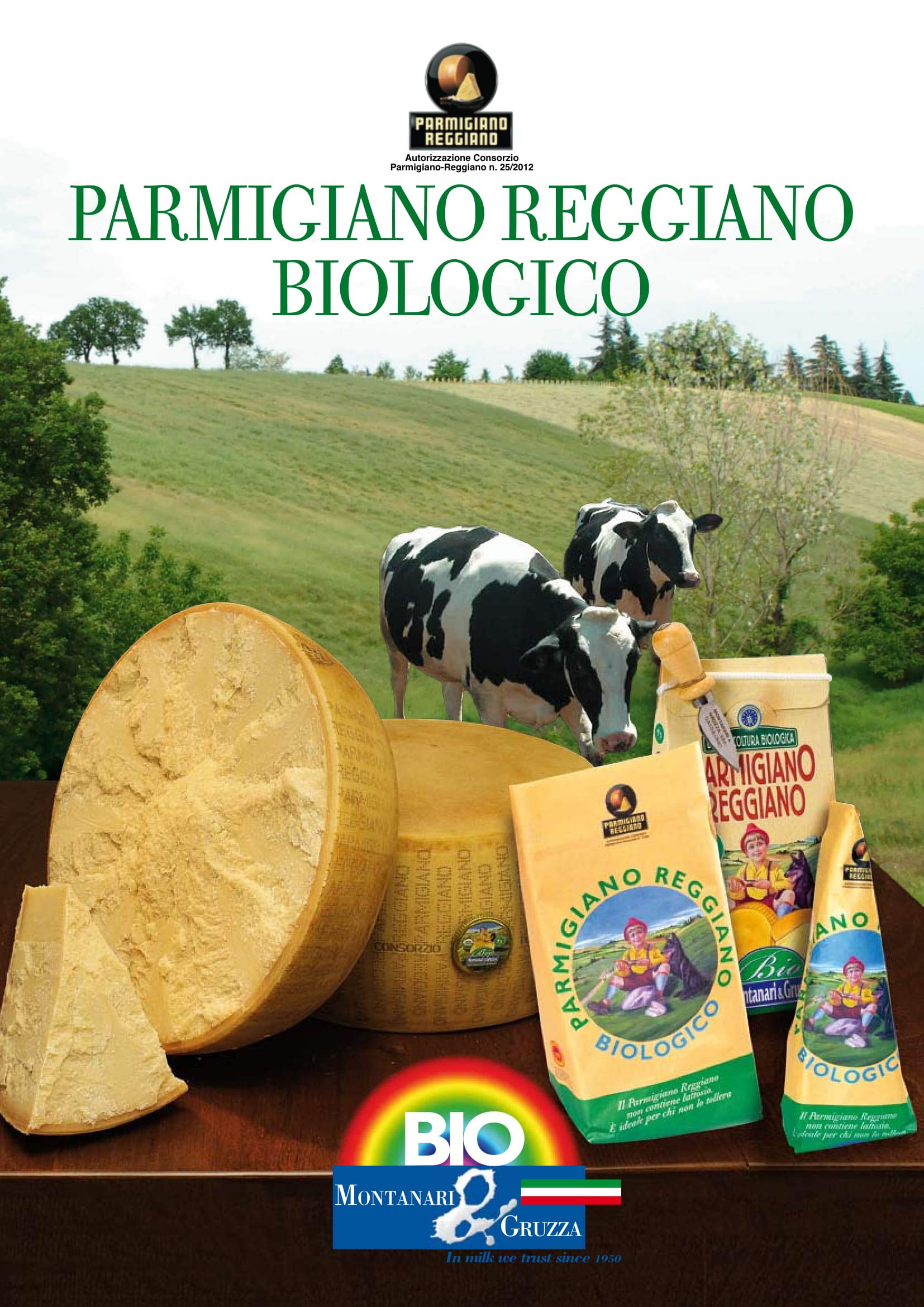 Parmigiano Reggiano DOP Bio Extra 24 Mesi, fatto con latte biologico Punta da 1 Kg Sottovuoto
