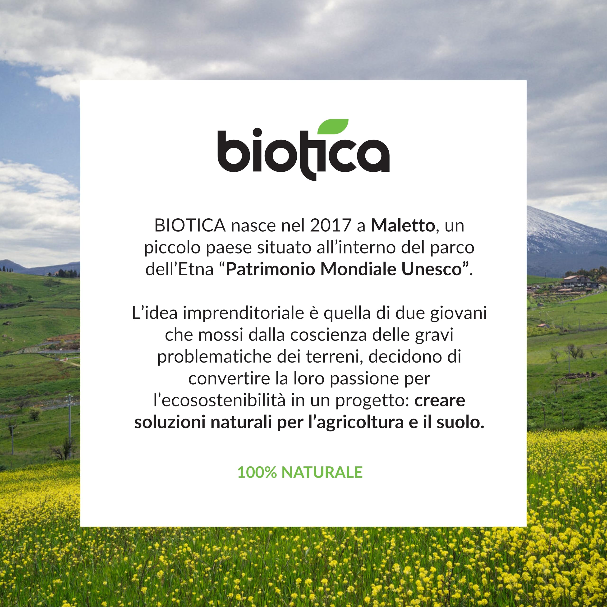BIOTICA Concime Liquido Biologico per Piante da Frutto e Orto, Fructum 5L
