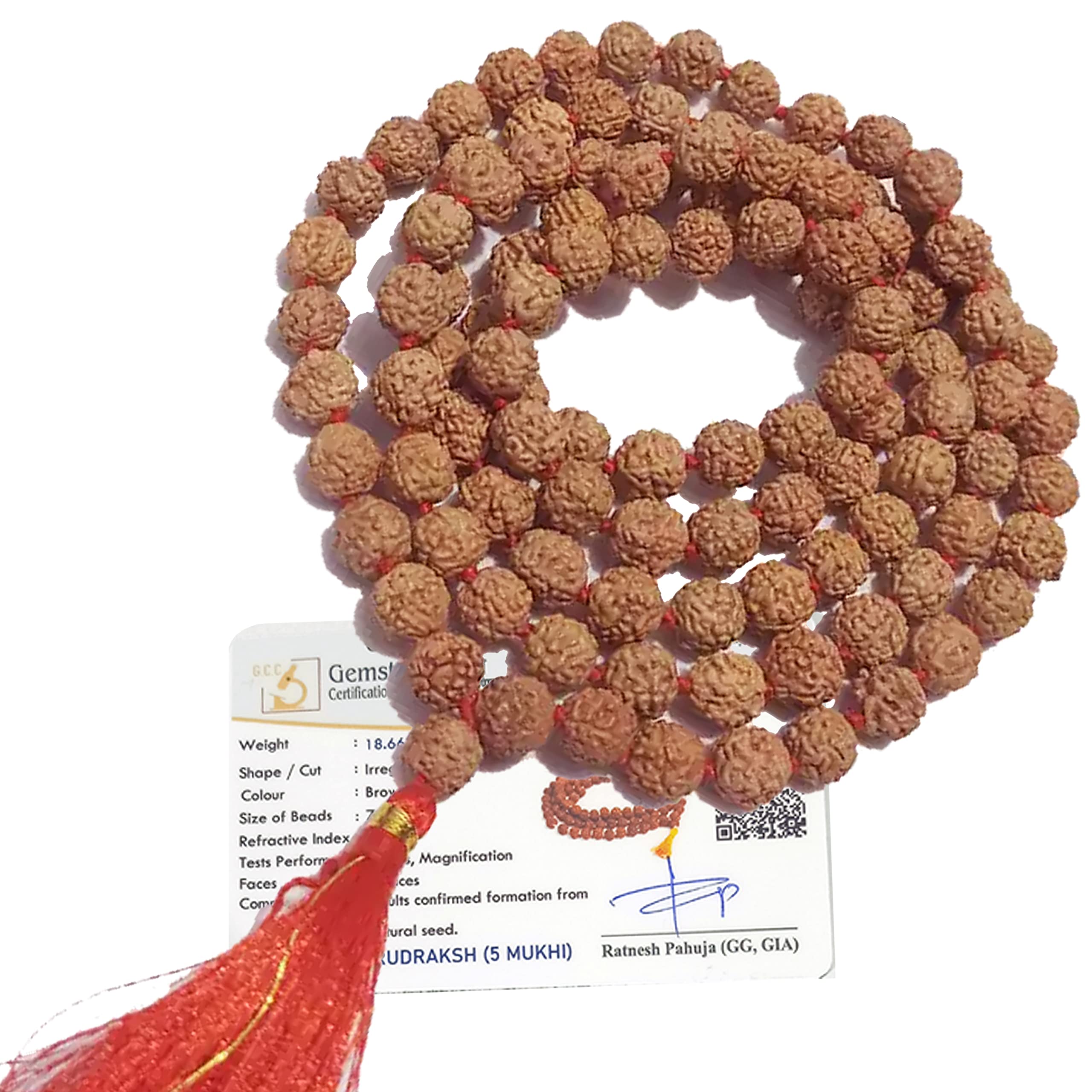 Vado 5 Mukhi Rudraksha Mala - Authentic & Certified -9