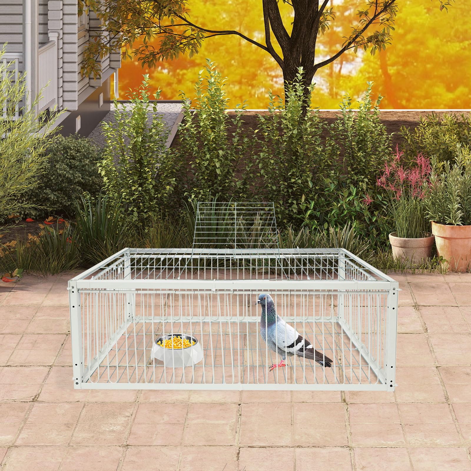 Jaula de palomas portátil resistente al escape para jardín | Diseño humano, captura sin lesiones, Techo corredizo para fácil extracción de pájaros, para techos, jardines y patios