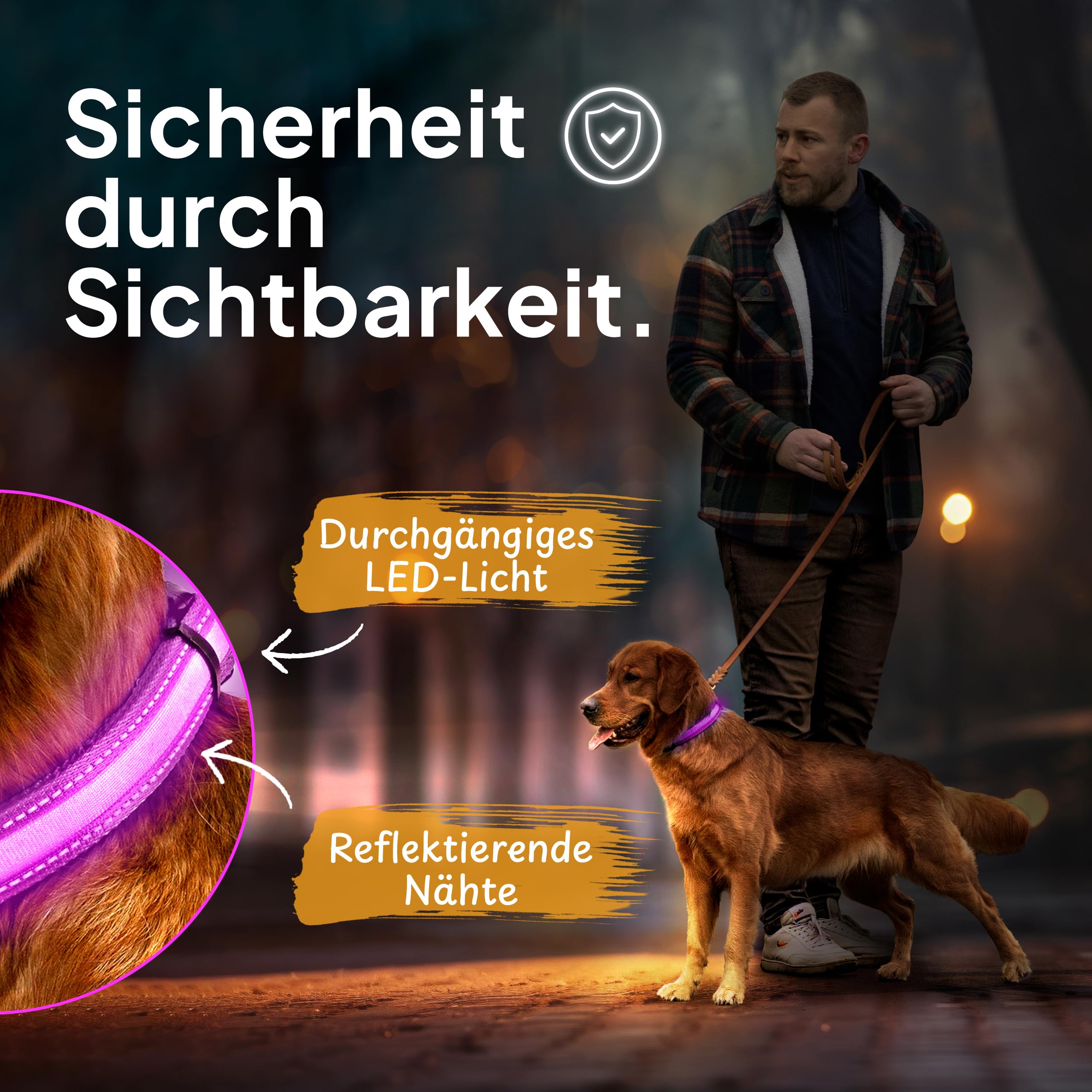 Tierhood Luminous Dog Collar, Luminous Collar for Small and Large Dogs, LED Dog Collar Rechargeable, Durable - Image 2