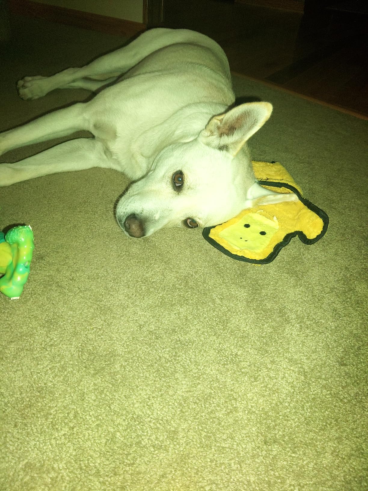 SHARLOVY No Stuffing Dog Toys Crinkle Squeaky, Long Lasting Chews for Aggressive, Durable Plush Dog Puppy Chew Toys for Teething, with 6 Tough Layers for Small Medium Large Breed