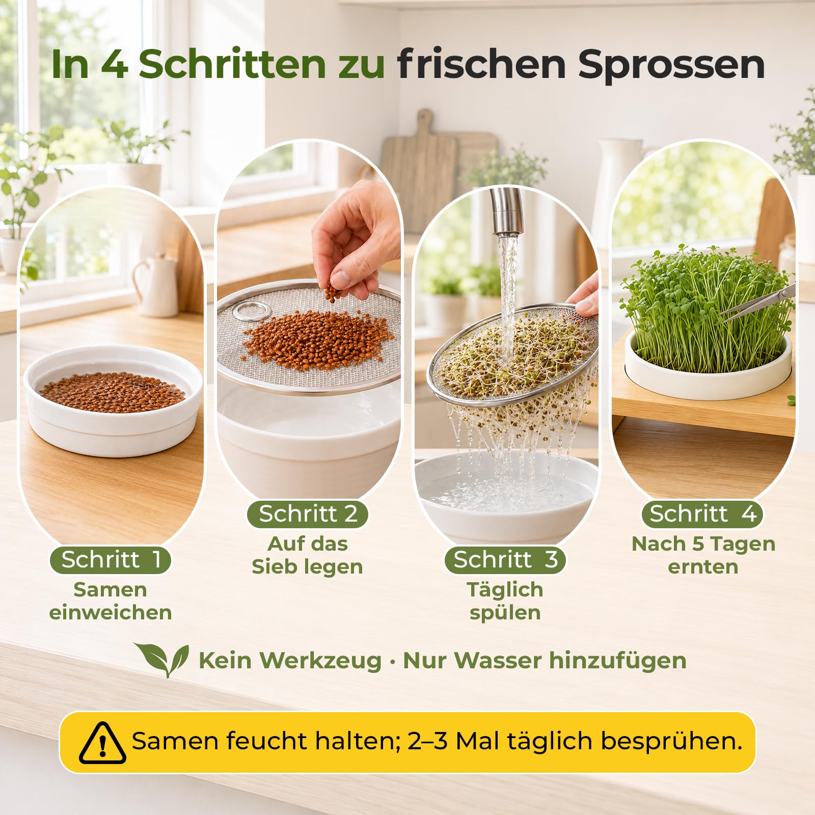 Sprossen Anzuchtset 44cm mit 3 Keramik Kresse Anzuchtschalen