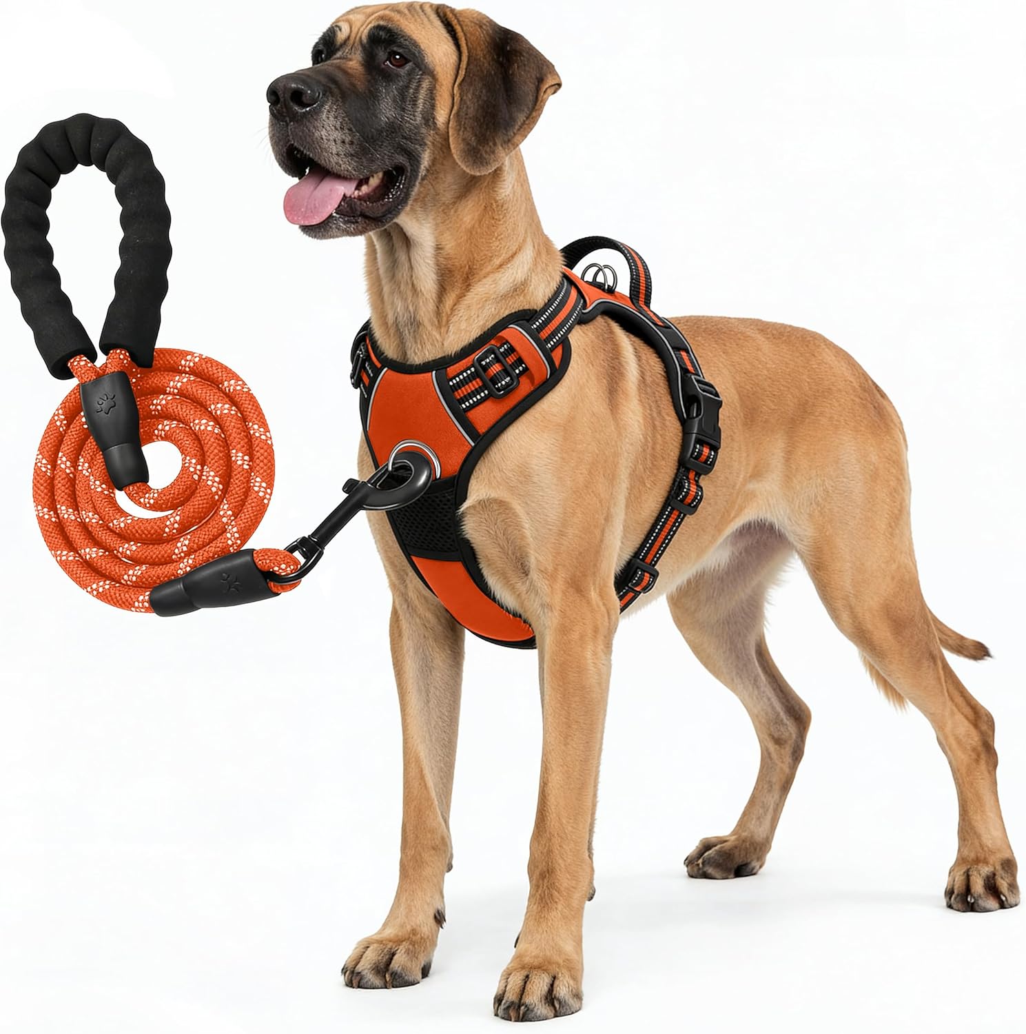 No Pull Dog Harness and Leash Set for Extra Large Dogs – Adjustable Reflective Breathable Soft Padded Easy Control Dog Harness for Training & Walking, Orange (X-Large)