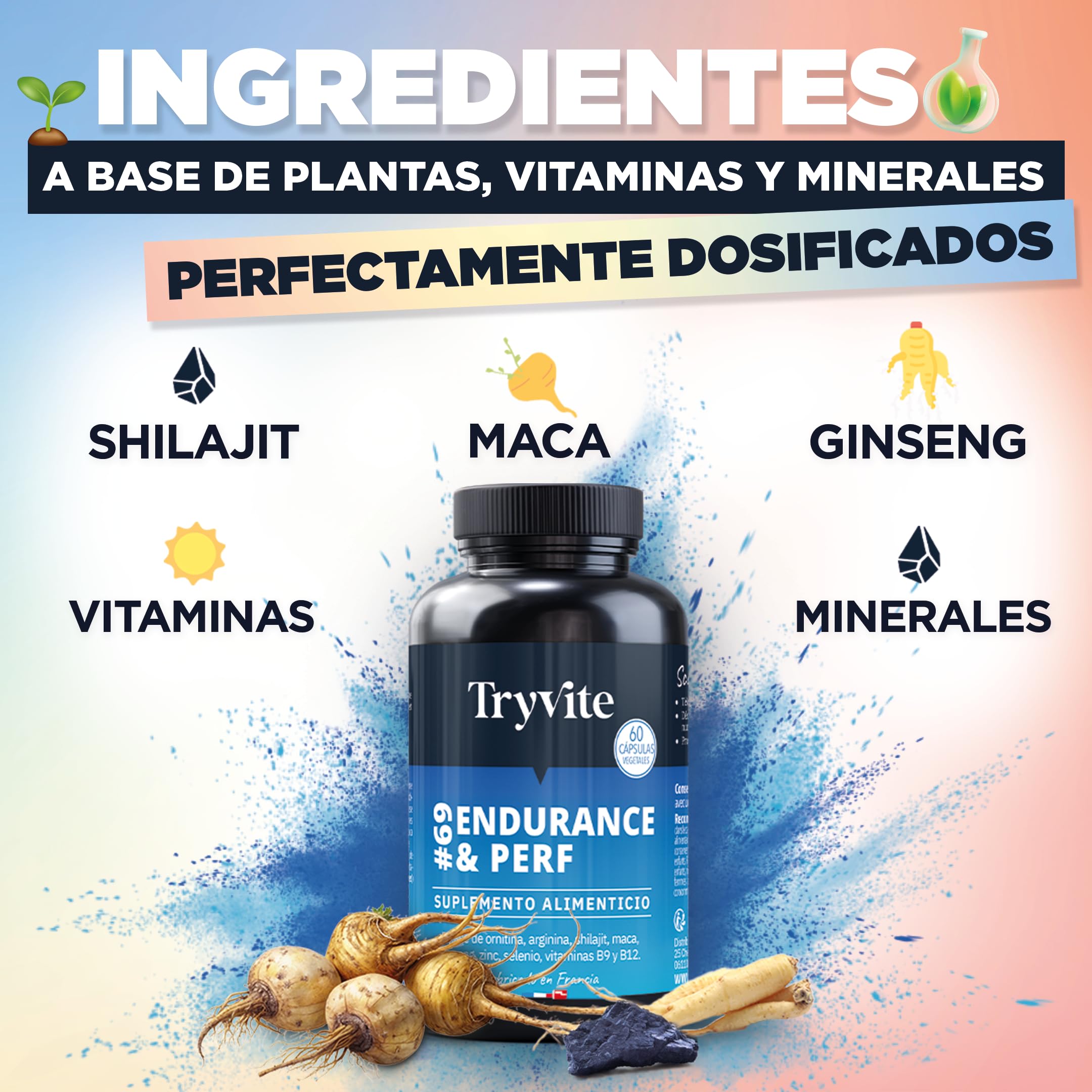 TESTOSTERONA HOMBRE | 60 Cápsulas Para Circulación Sanguínea | Booster de Fuerza Resistencia Energía | Ginseng, Maca, shilajit, Arginina, Citrulina, Zinc | TRYVITE ENDURANCE&PERF