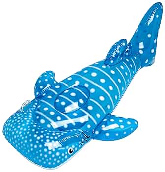 じんべいざめさん専用 じんべえさん 2021年4月発売予定「じんべえさんとさめさん」テーマ