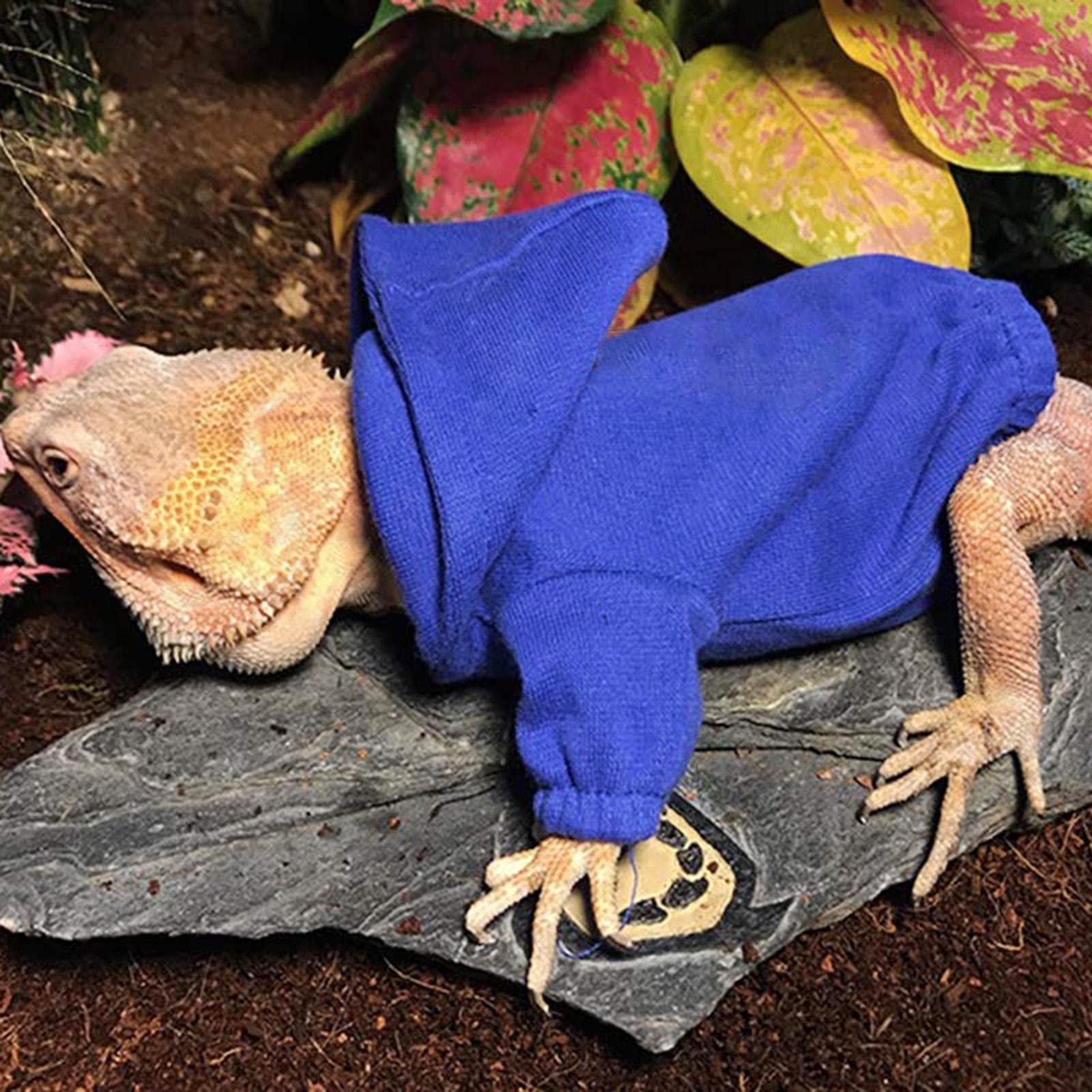 Fulenyi Bartagame-Hoodie,Verstellbarer Baumwoll-Eidechsen-Bartagame-Kapuzenpullover - Kleintierkleidung Tankzubehör Kostü für Hautschutz Fotoparty
