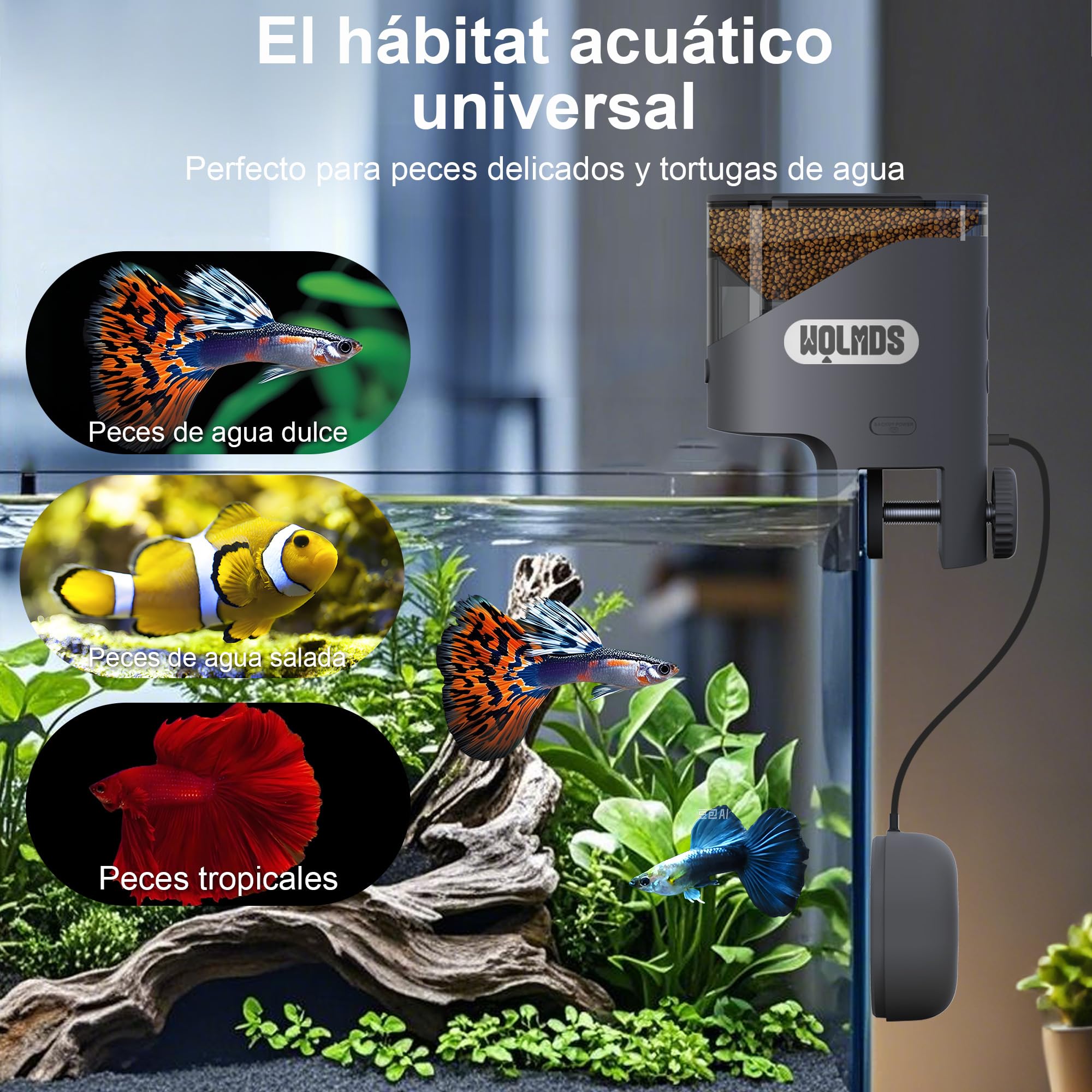 Alimentador Automático Peces WiFi con Cámara 2.5K HD Visión Nocturna, Dispensador Inteligente App, 0.2g/0.6g para Acuario, Anti-Humedad, Plan de Alimentación Personalizable (Gris Oscuro)