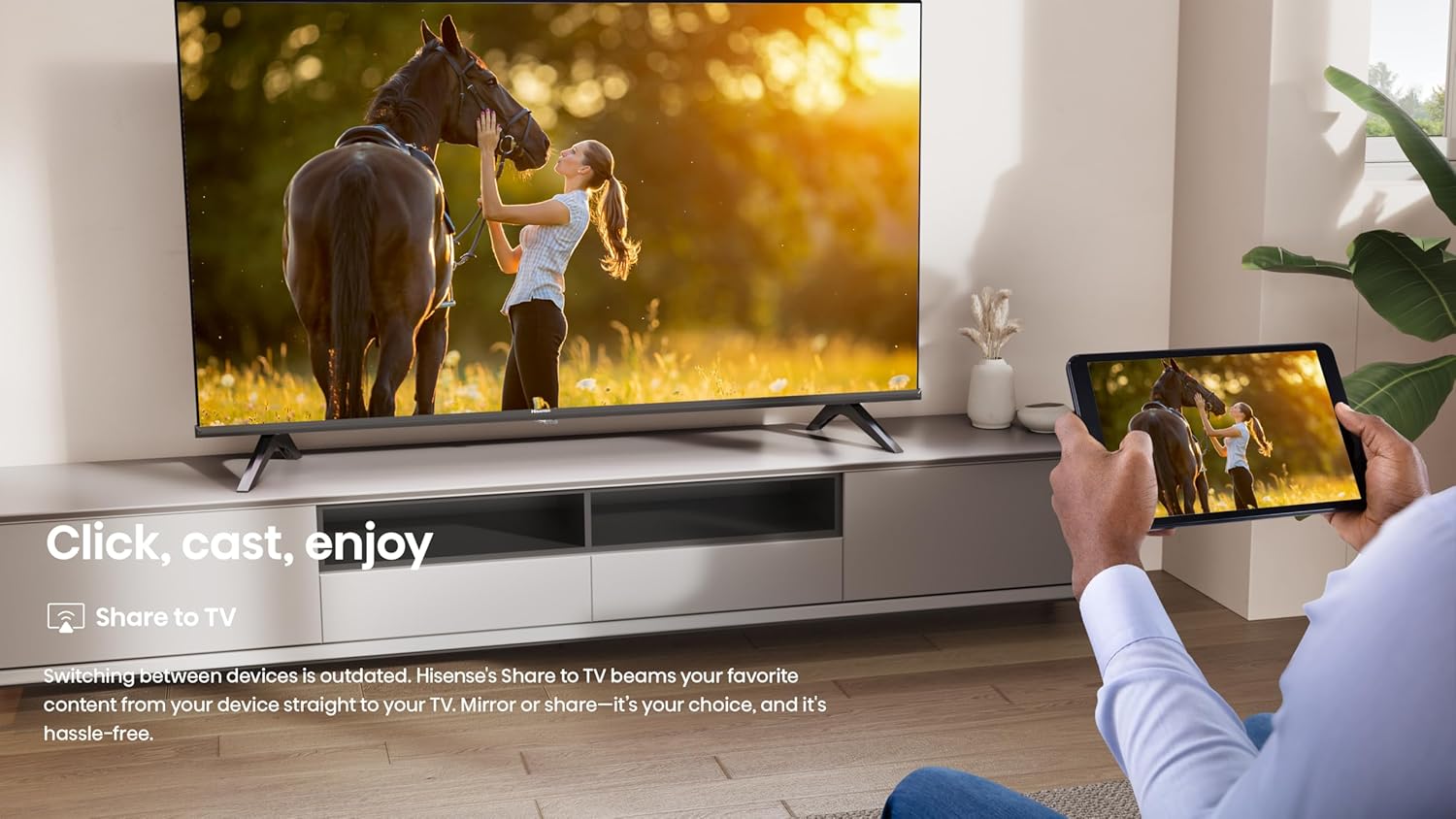 Hisense TV Share to TV feature