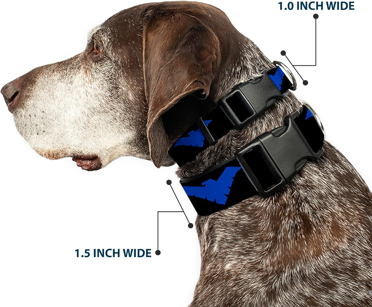 Dog Collar Plastic Clip Nightwing Logo Black Blue 13 to 18 Inches 1.5 Inch Wide