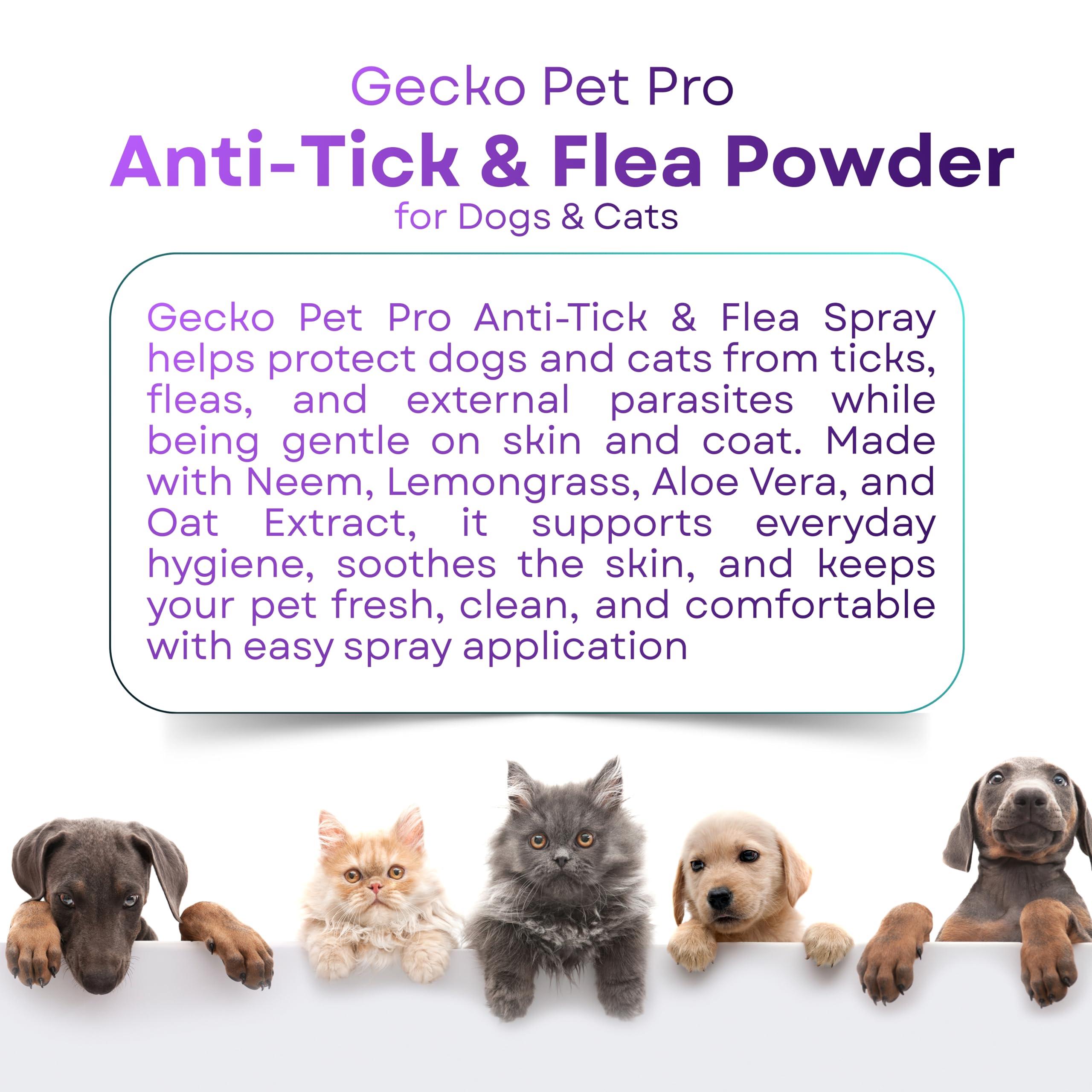 Gecko Pet Pro Anti-Tick & Flea Powder for Dogs & Cats | Neem, Lavender & Calendula | Helps Control Ticks & Fleas | Daily Coat Care | Safe for Daily Use | 120g | (Pack of 1) 3