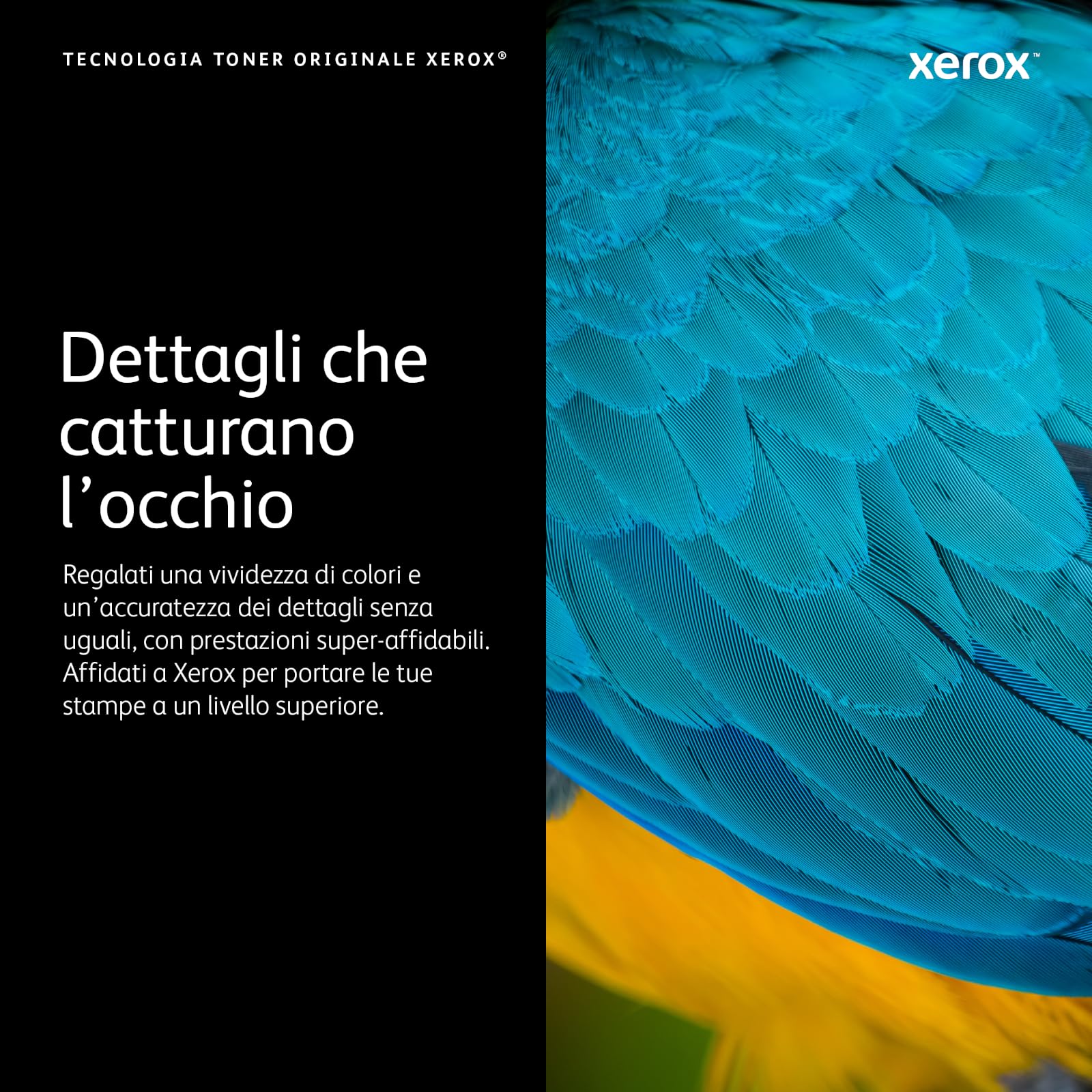 Xerox Genuine Phaser 7500 Ciano, Cartuccia Toner Capacità Standard (9,600 Pagine) - 106R01433