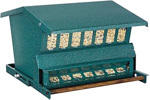 WoodLink Absolute II Bird Feeder: Keeps Squirrels Away