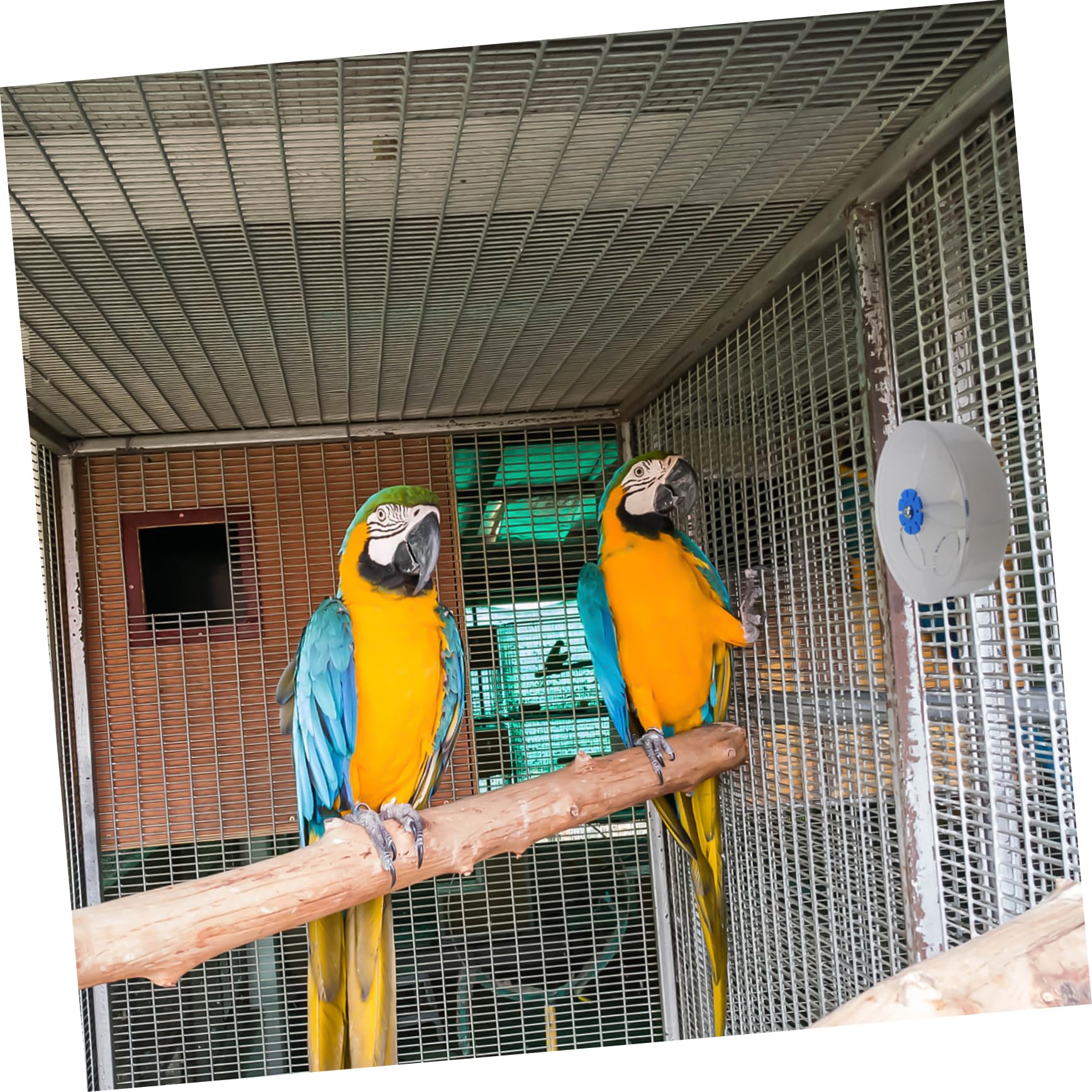 Milisten Acrylic Parrot Foraging Box Compartment Feeding Container for Birds Interactive Puzzle Toy for Macaw Cockatiel Conure Fun and Engaging Treat Dispenser - image 3
