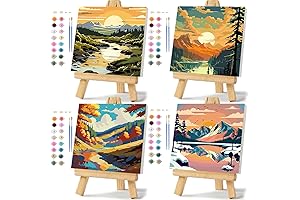 4 Pack Framed Paint by Numbers Kit for Adults