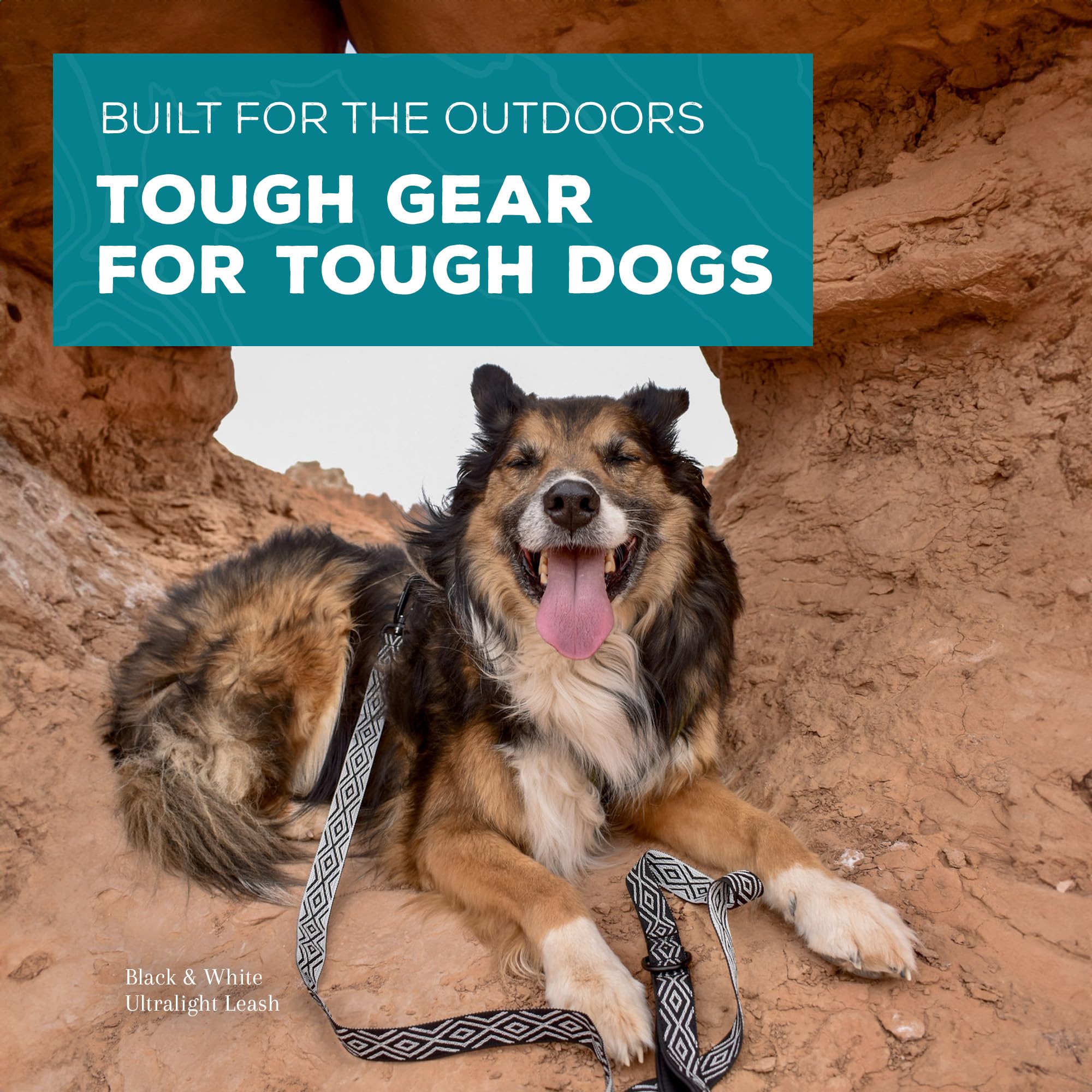 Wilderdog Ultraleichte Leinenserie für Hunde, 1,8 m lang und nur 106 g, mit schwenkbarer, verriegelbarer Karabinerbefestigung und leicht gepolstertem Griff mit D-Ring, Daybreak