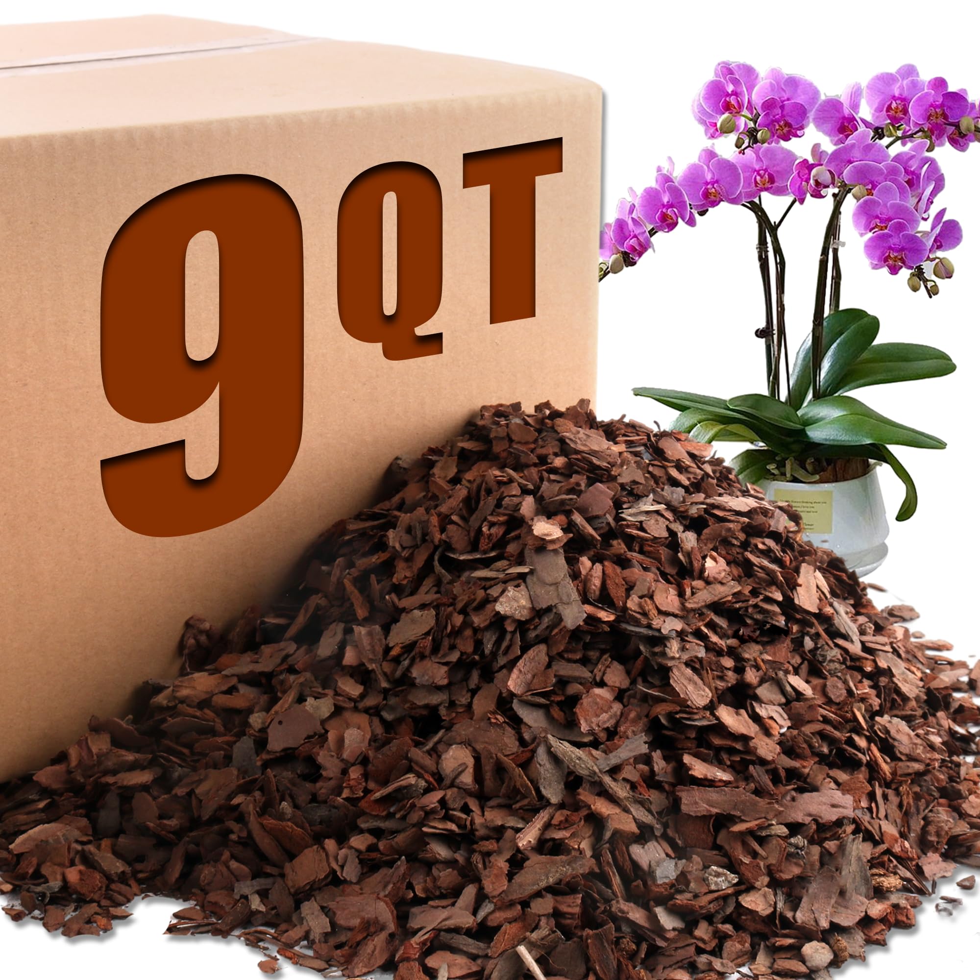 Avalution Orchid Potting Bark