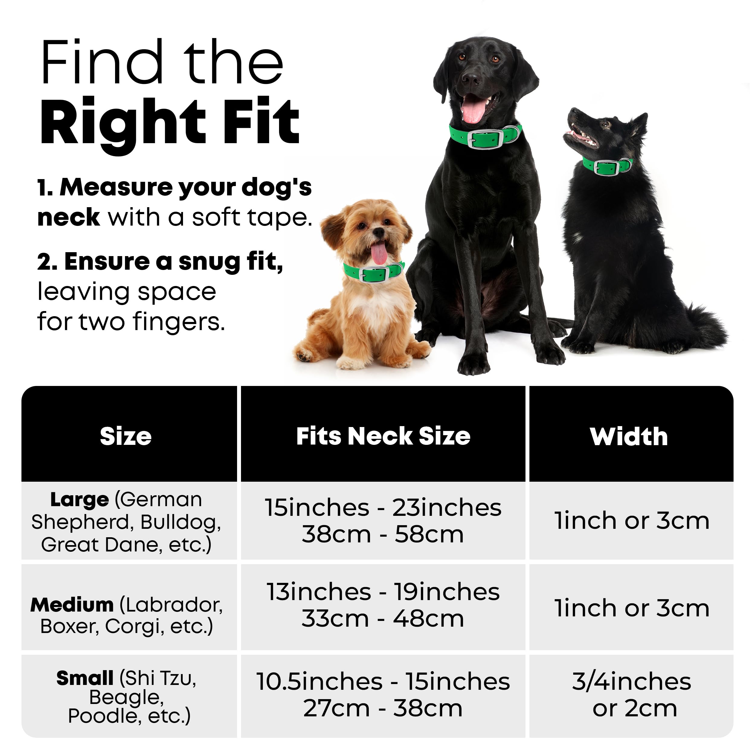 Regal Dog Products Collare e guinzaglio per Cani Resistenti all'Acqua Verde - Fettuccia Rivestita in Vinile su Misura, Doppia Fibbia e Anello a D per Cani di Taglia Media
