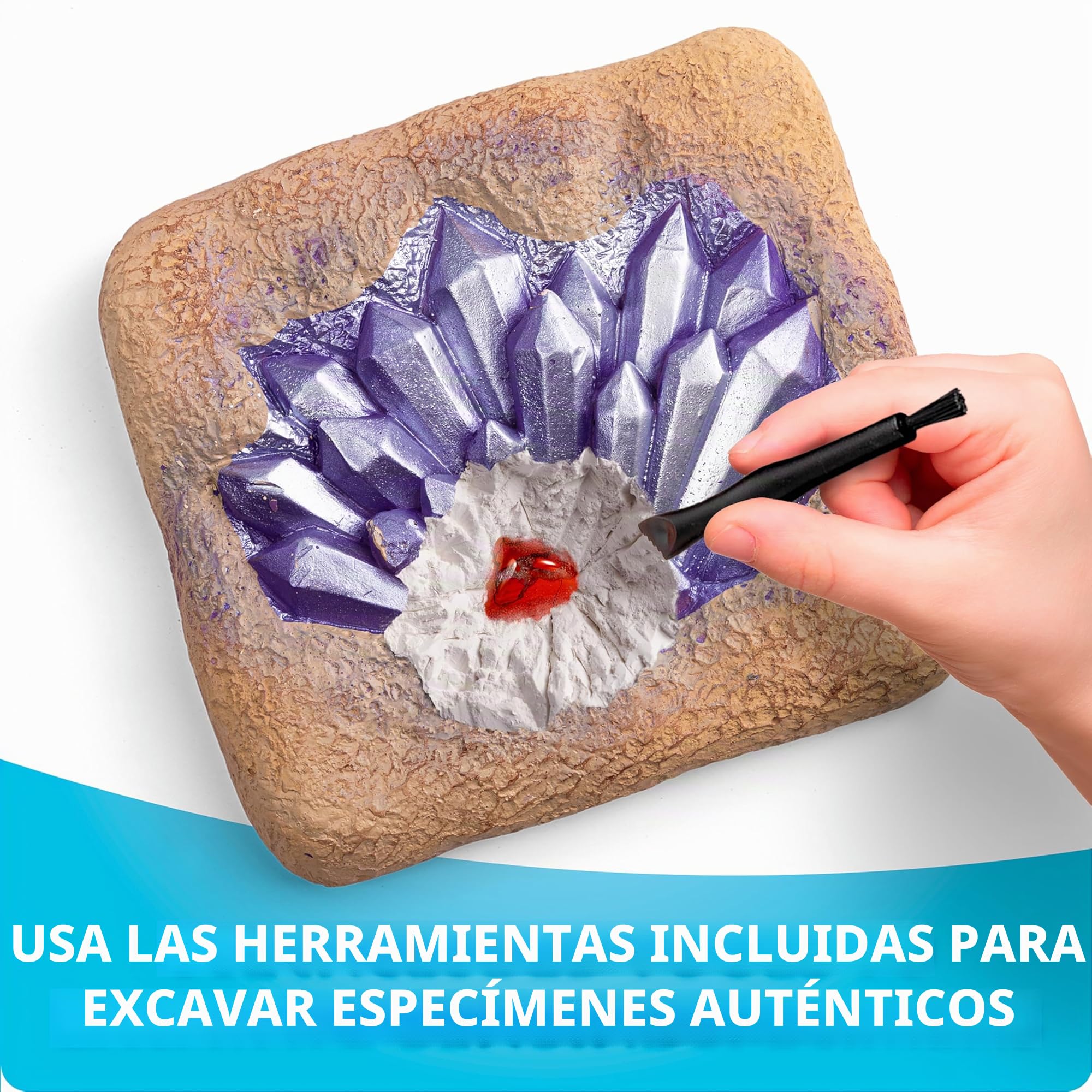 Amazon.es: NATIONAL GEOGRAPHIC: Todos los Juguetes