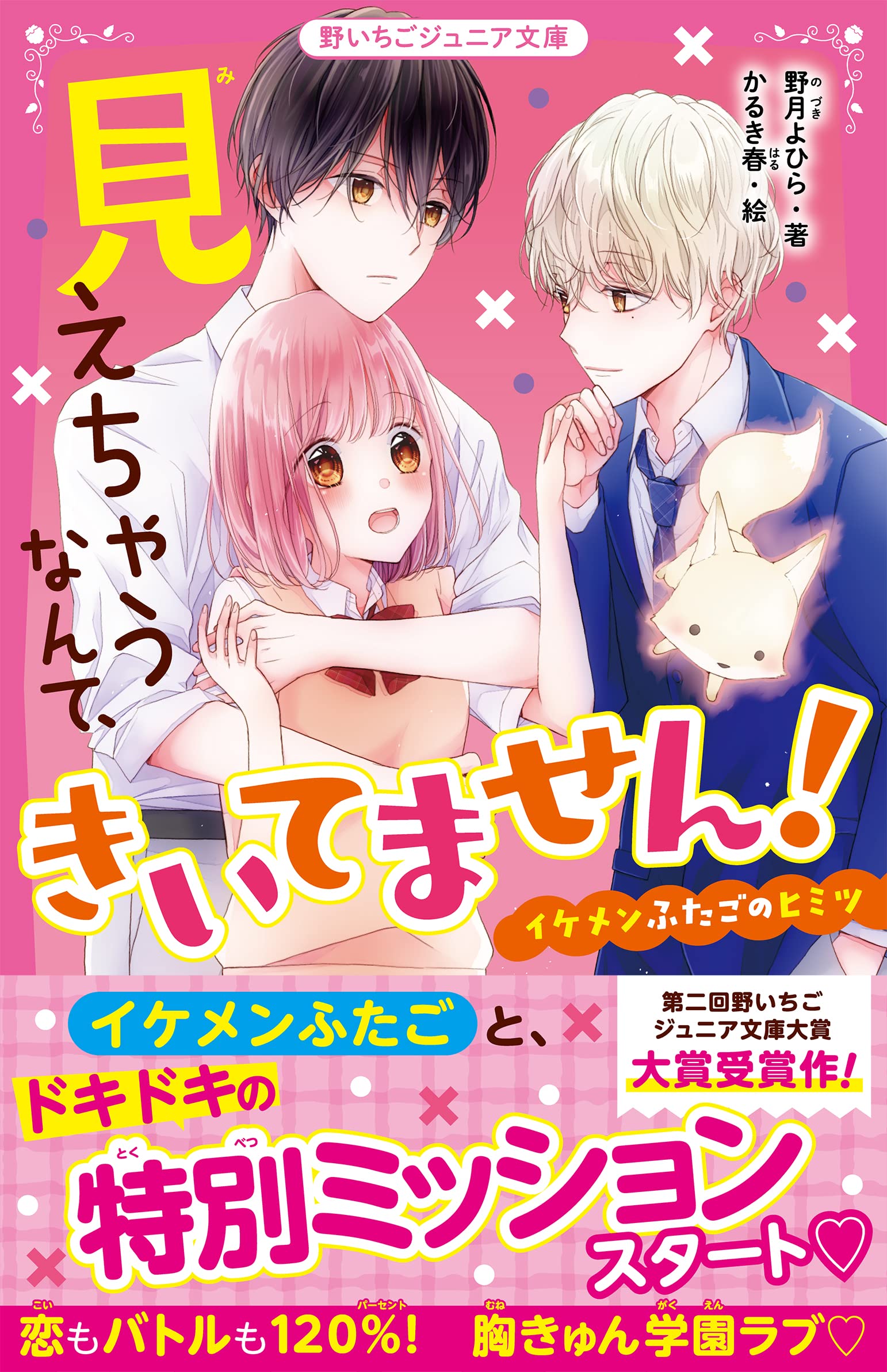 見えちゃうなんて、きいてません! イケメンふたごのヒミツ(野いちご