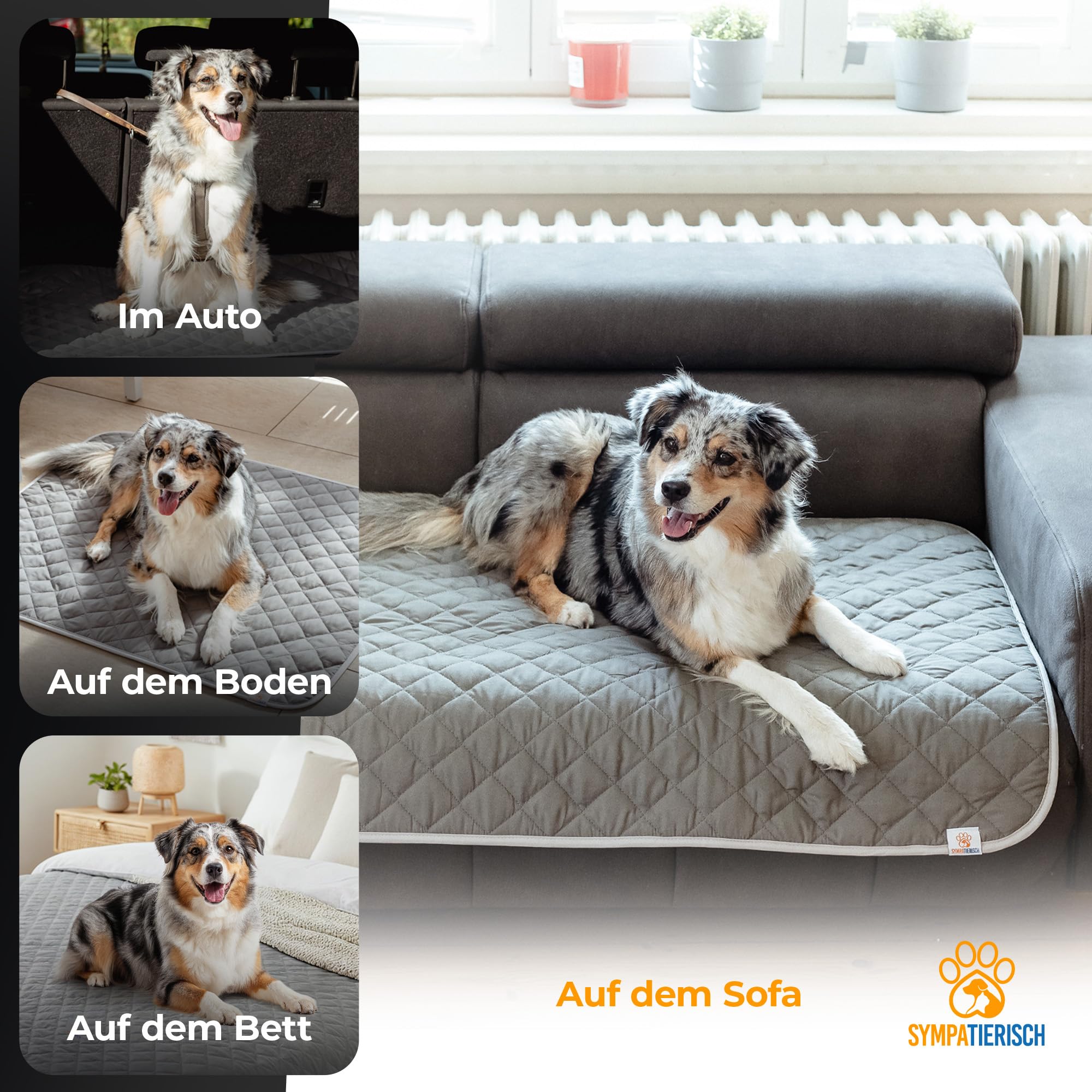 Manta para perros impermeable y lavable – Manta para perros de alta calidad para sofá, coche y suelo, 6 capas, resistente al agua, lavable a máquina hasta 60 °C – 210 x 160 cm