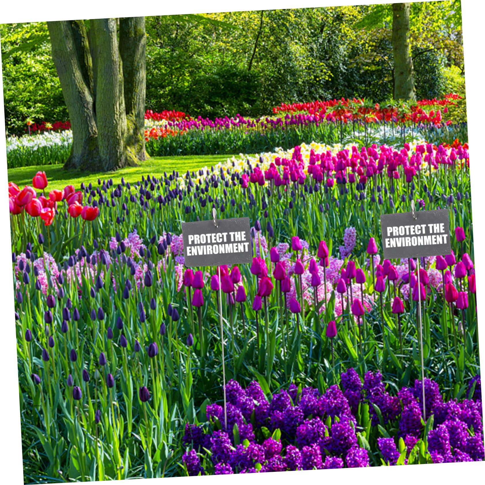 Homoyoyo Étiquettes Résistantes à Déformation pour Plantes en Pierre et Fer Noir pour L'identification Marquage des Fleurs et Plantes en Jardin