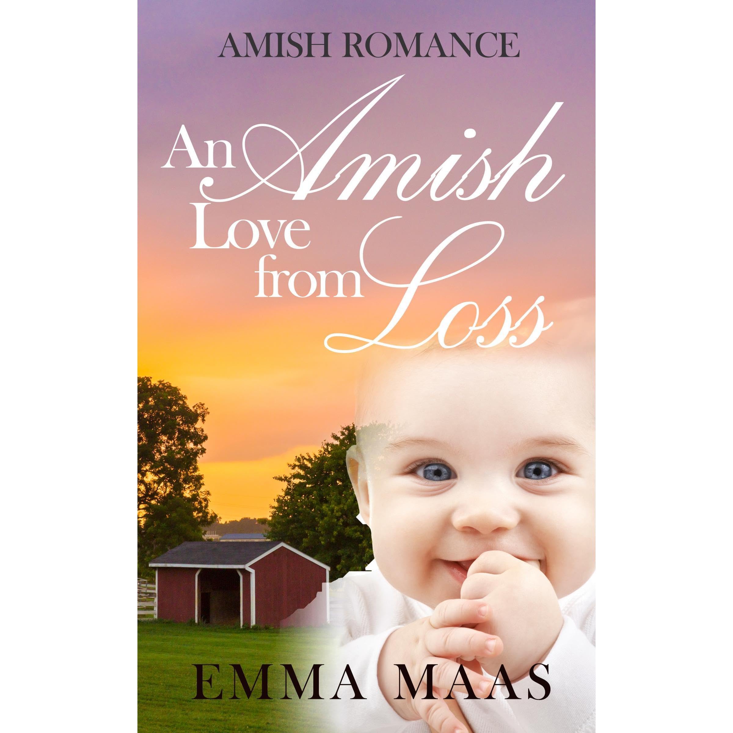 An Amish Love from Loss