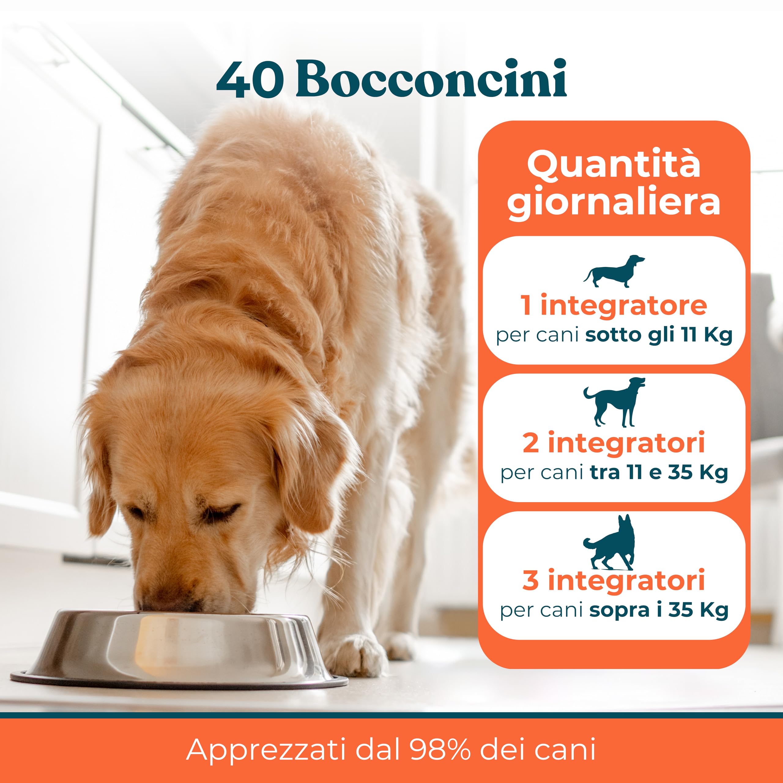 Integratori per Cani Ossa e Articolazioni Gusto Manzo - Integratore Articolazioni Cane per Favorire Lo Sviluppo o Mantenere la Mobilità