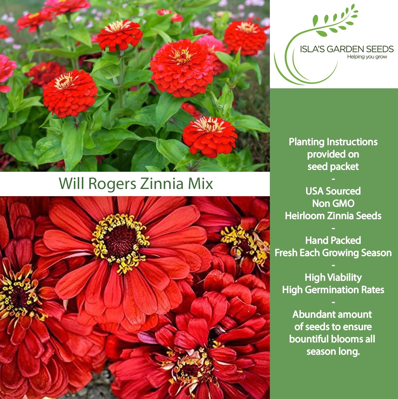 Amazon.com : Will Rogers Red Zinnia Seeds (Zinnia elegans) – 100+