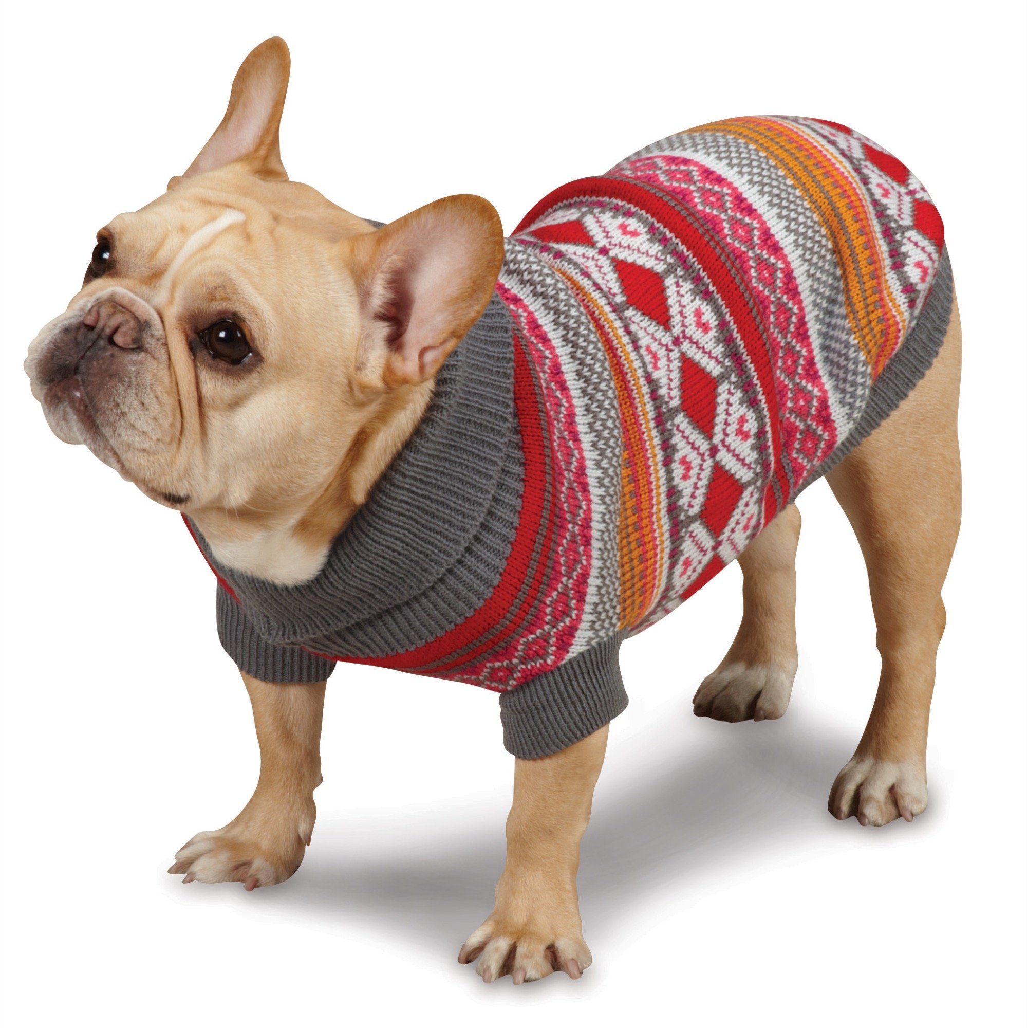 Pull pour chien au parc : balade hivernale confortable en XXS Framboise