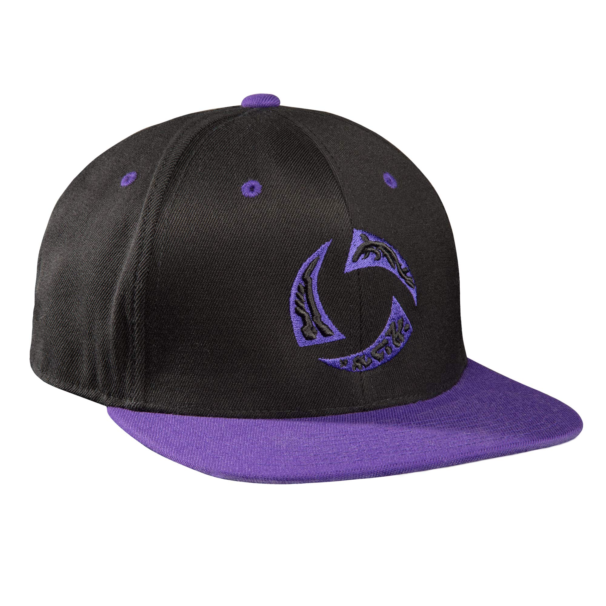 JINX Heroes of The Storm Enter Nexus Snapback Baseball Hat, Black/Purple, One Size