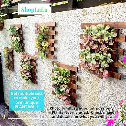 Miniatura 4 de ShopLaLa 2 maceteros de pared colgantes de madera para suculentas, orquídeas, Tillandsias u otras, decorativos, soportes de plantas reales, para