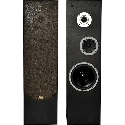 Divine audio T3W Floor Standing Speaker