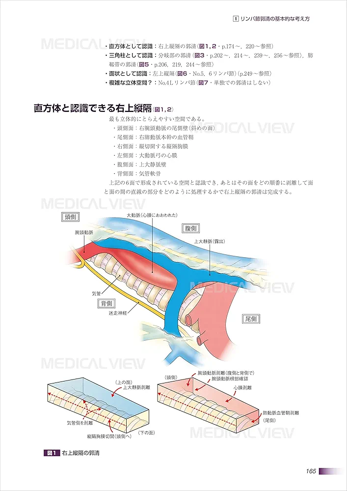 肺癌 (がん研スタイル 癌の標準手術) | 奥村 栄, 文 敏景(編集