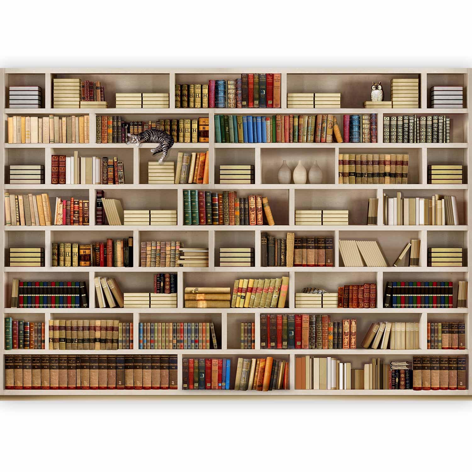 murando - Fototapete Vlies Bibliothek, 400x280 cm, Schlafzimmer, Wohnzimmer | Full HD Druck, 3D-Effekt, lichtbeständige Farben, ideal fürs Wohn- oder Schlafzimmer, schnelle Montage, lichtbeständig, edel