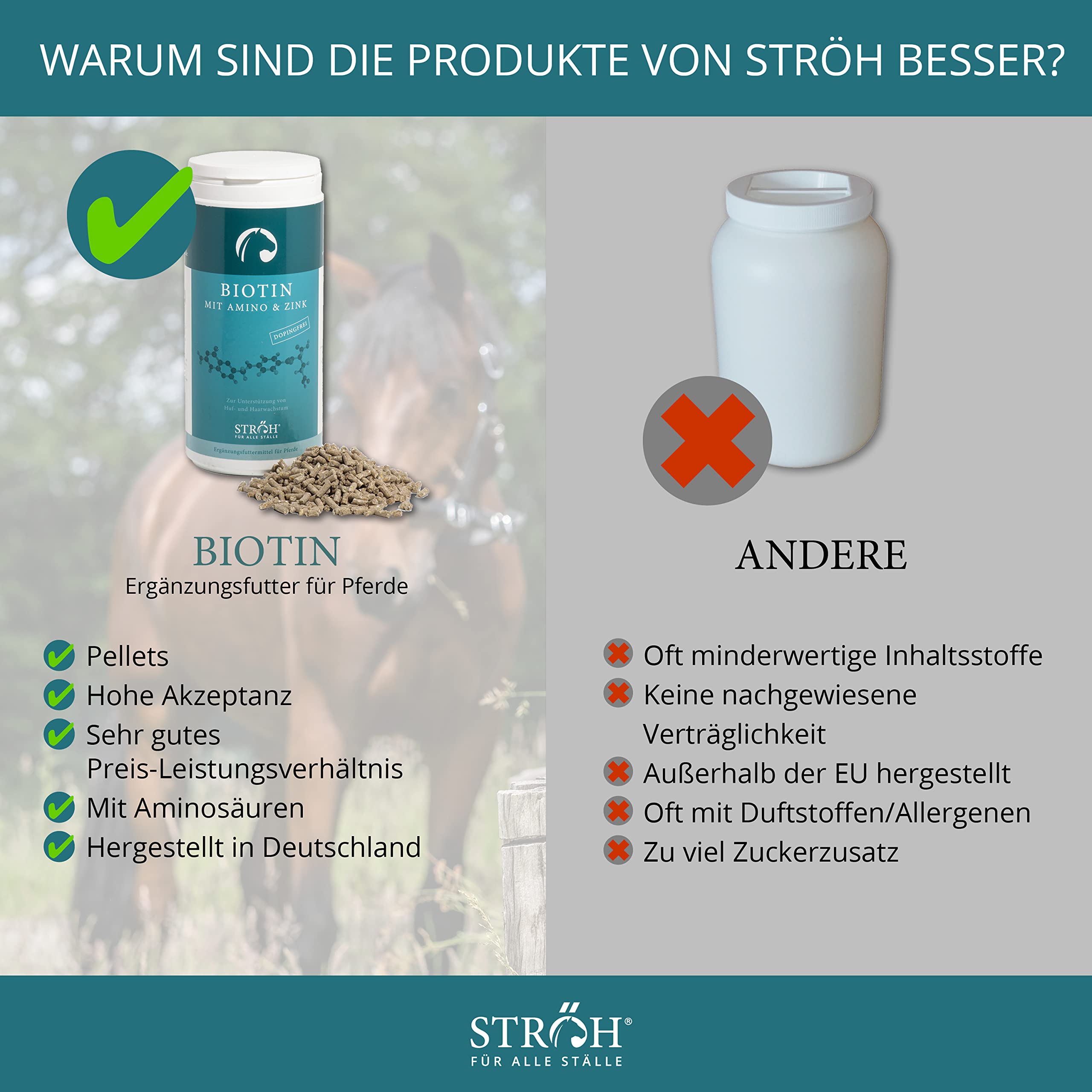 Ecom StrÖH - Biotin - 1kg Dose
