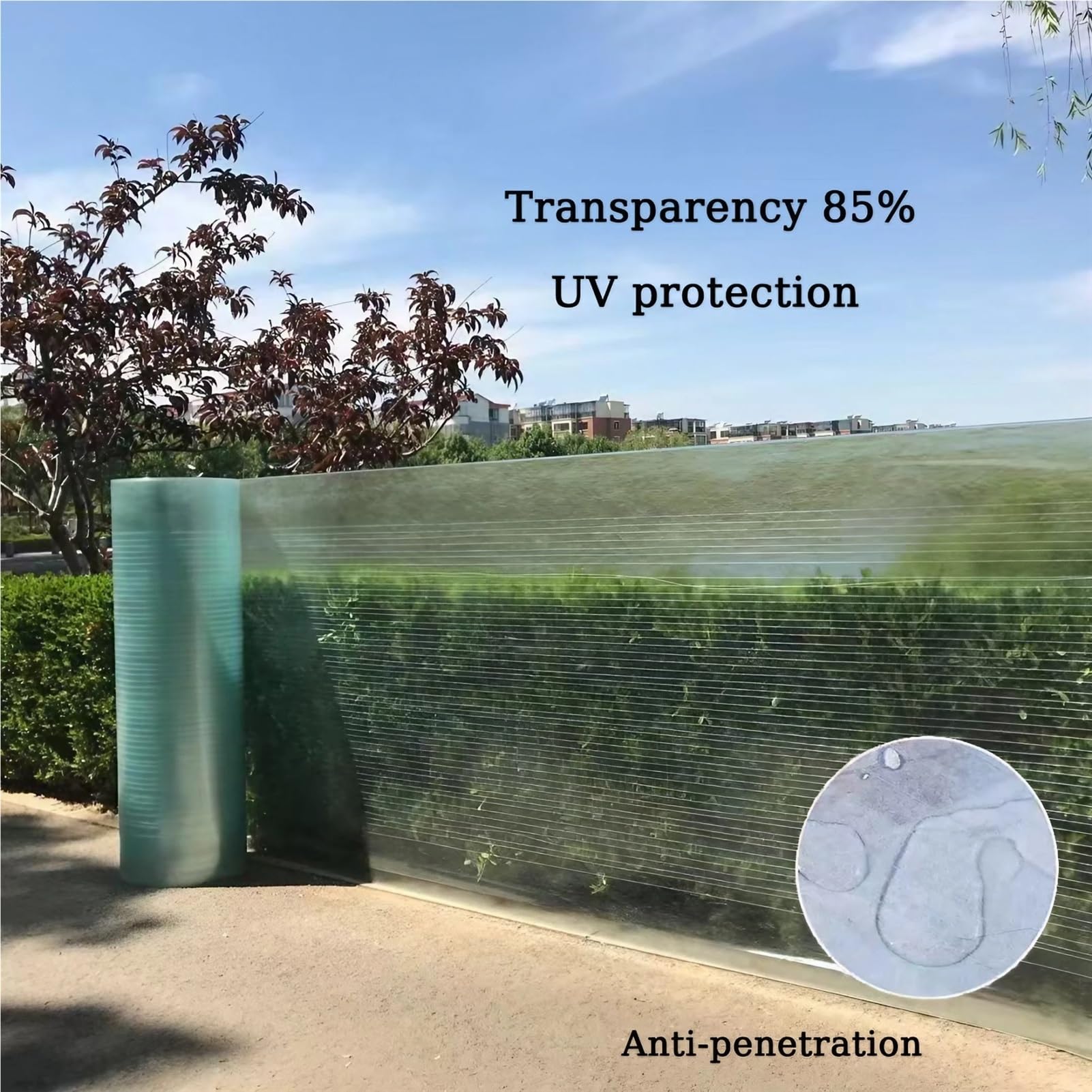 Policarto Film transparent 0,8 mm pour serre – Protection contre la lumière du jour – Panneau extérieur résistant aux intempéries 1 x 10 m