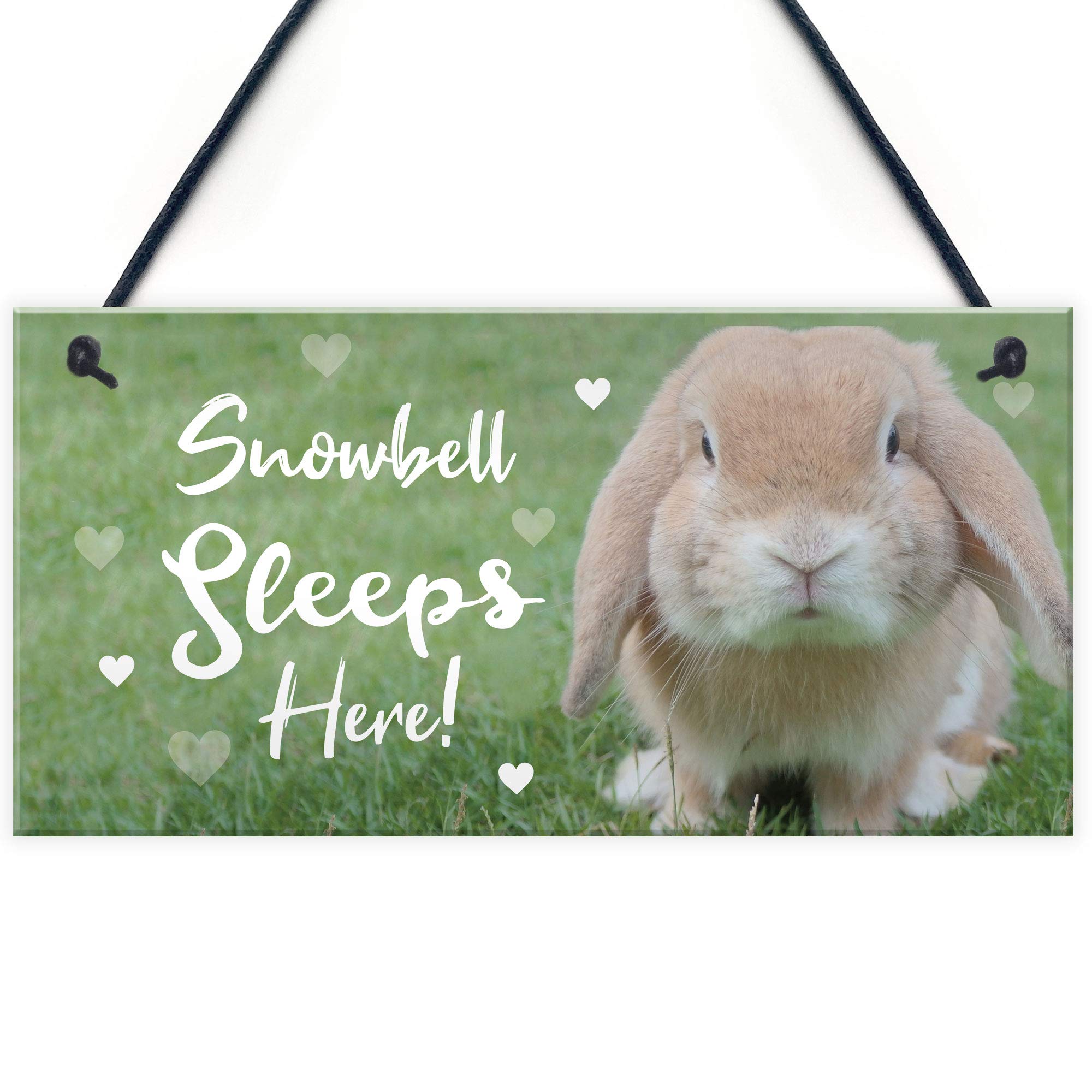 Red Ocean Rabbit Sleeps Here Sign Rabbit Lover Gift Ideas Door Hutch Funny Pet Sign Rabbit Accessories