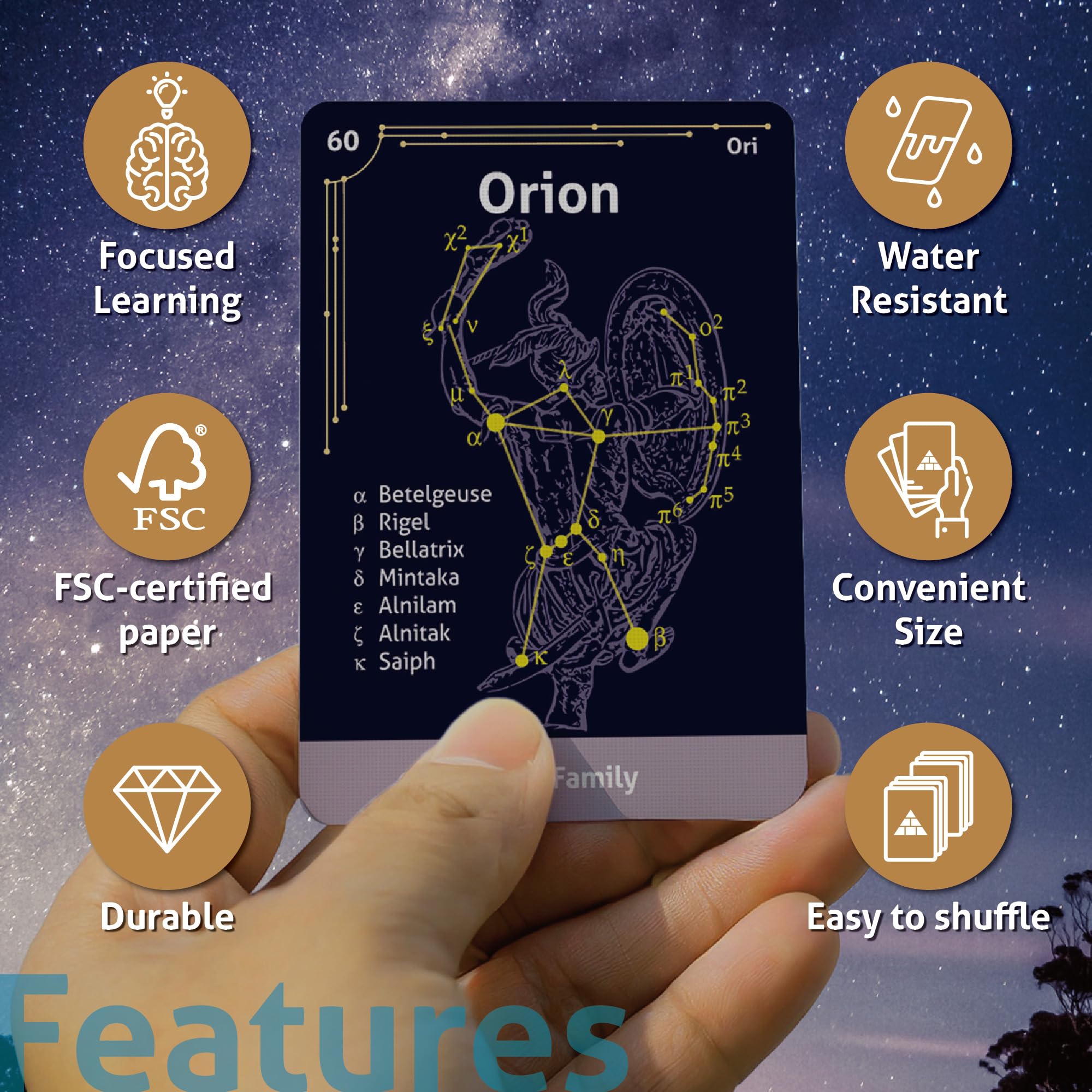 Amazon.co.jp: The 88 Astronomical Constellations : おもちゃ